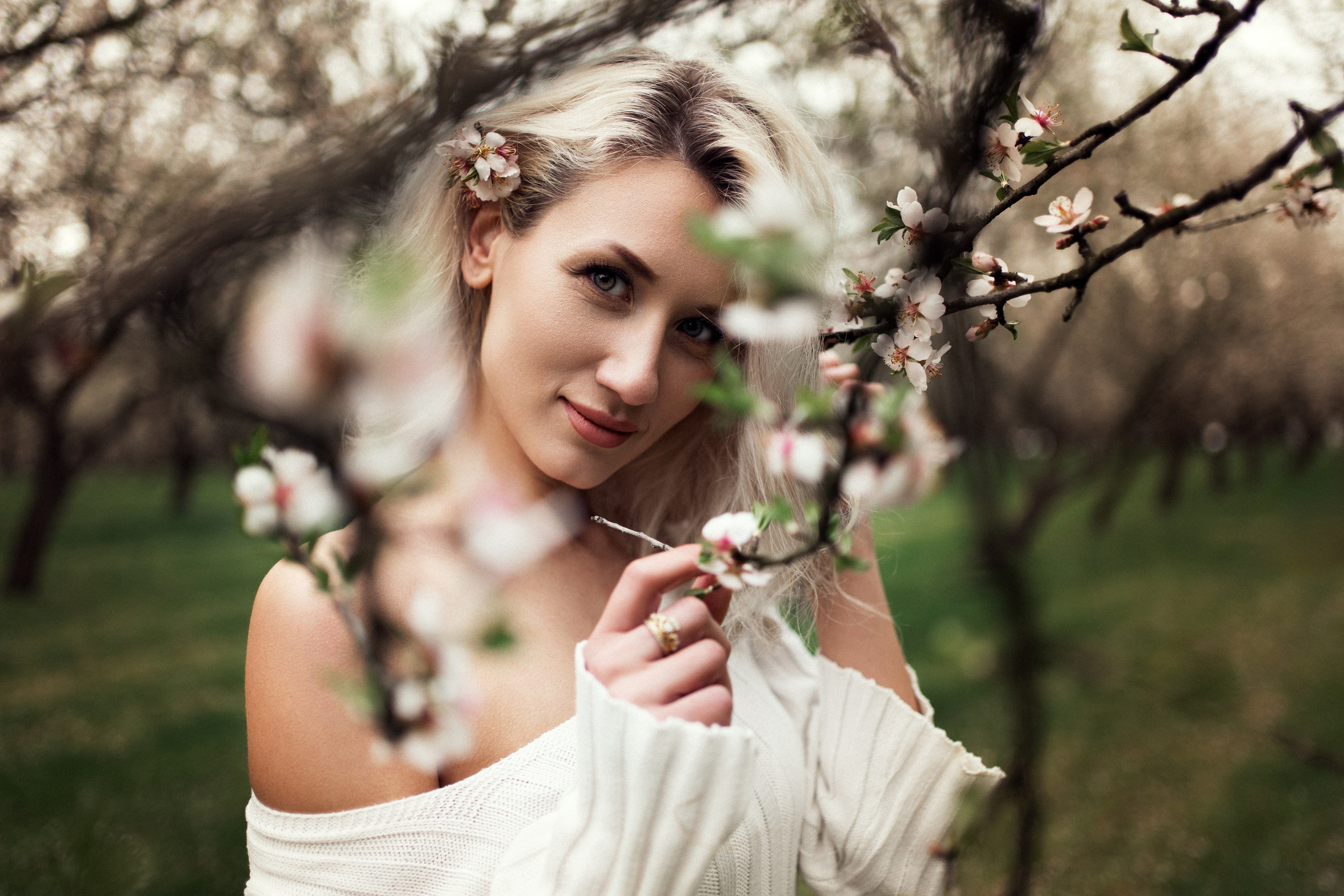 Antonela. Главная