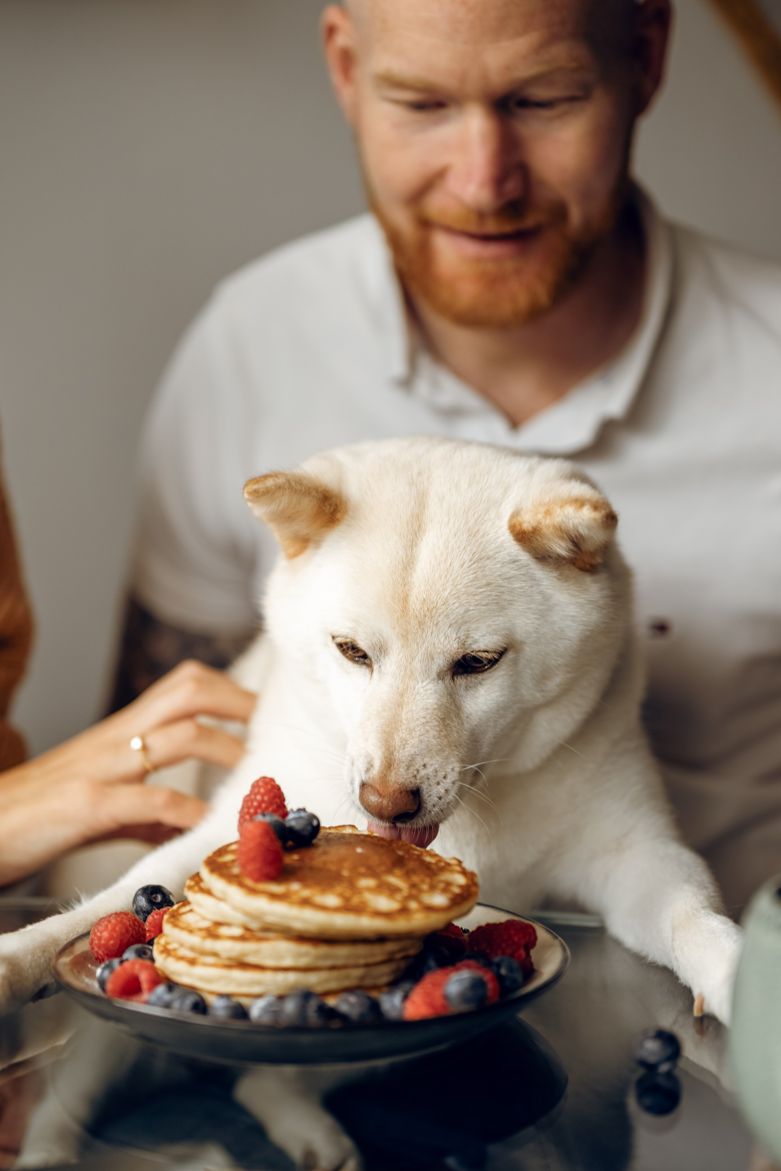 Katya & Nick. Photographer Irina Novikova