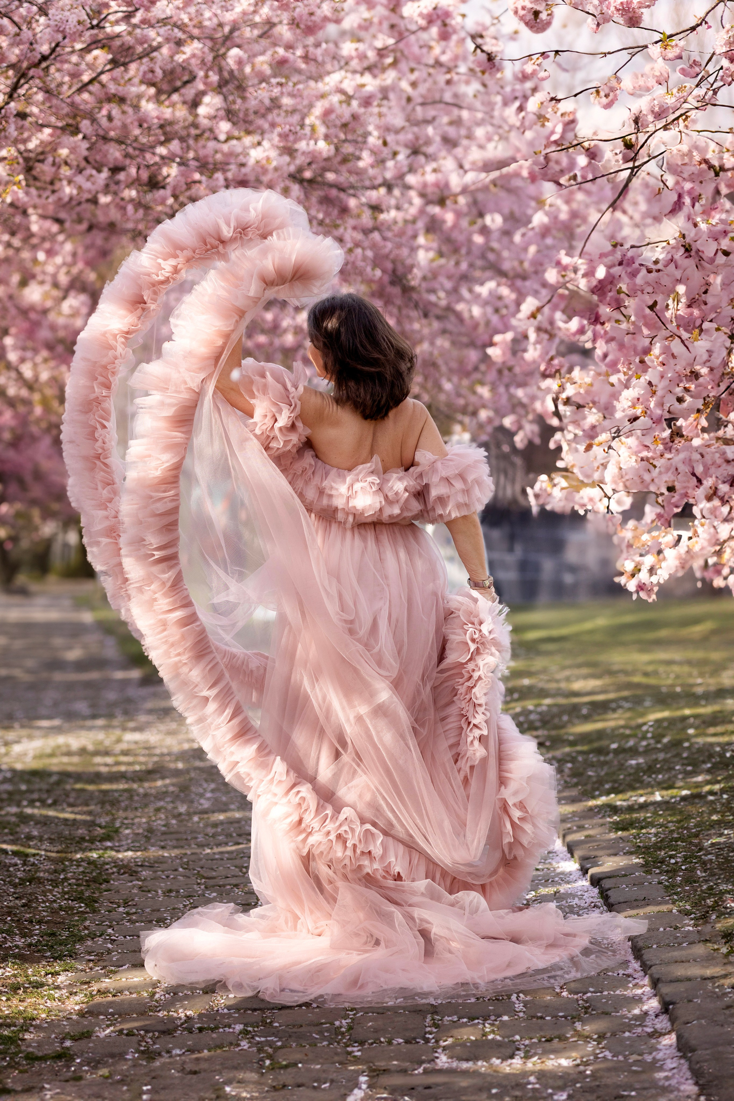 Sakura. Photographer in Munich