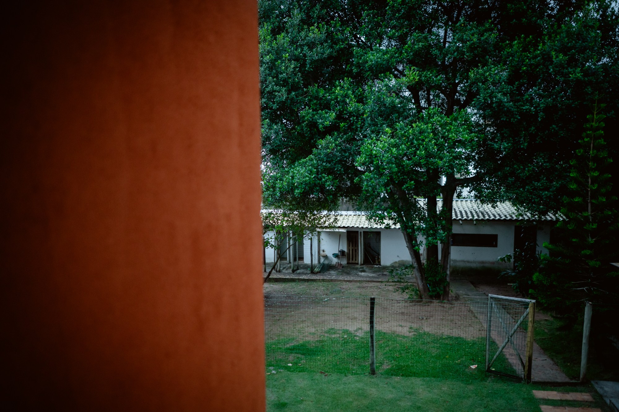 Nascer Beatriz. Água Carmim Fotografia