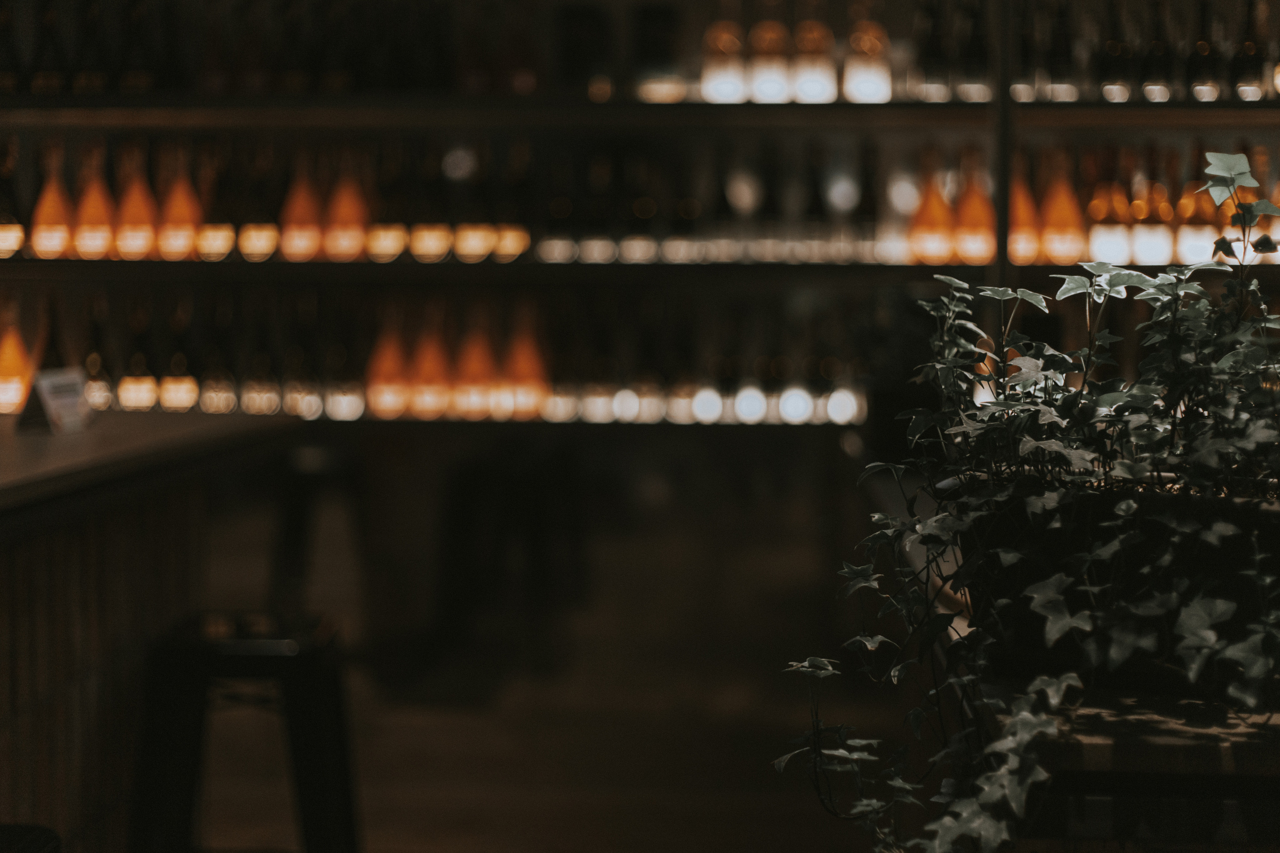 Wedding for two. Портретный фотограф в Кракове Анна Бовтюк