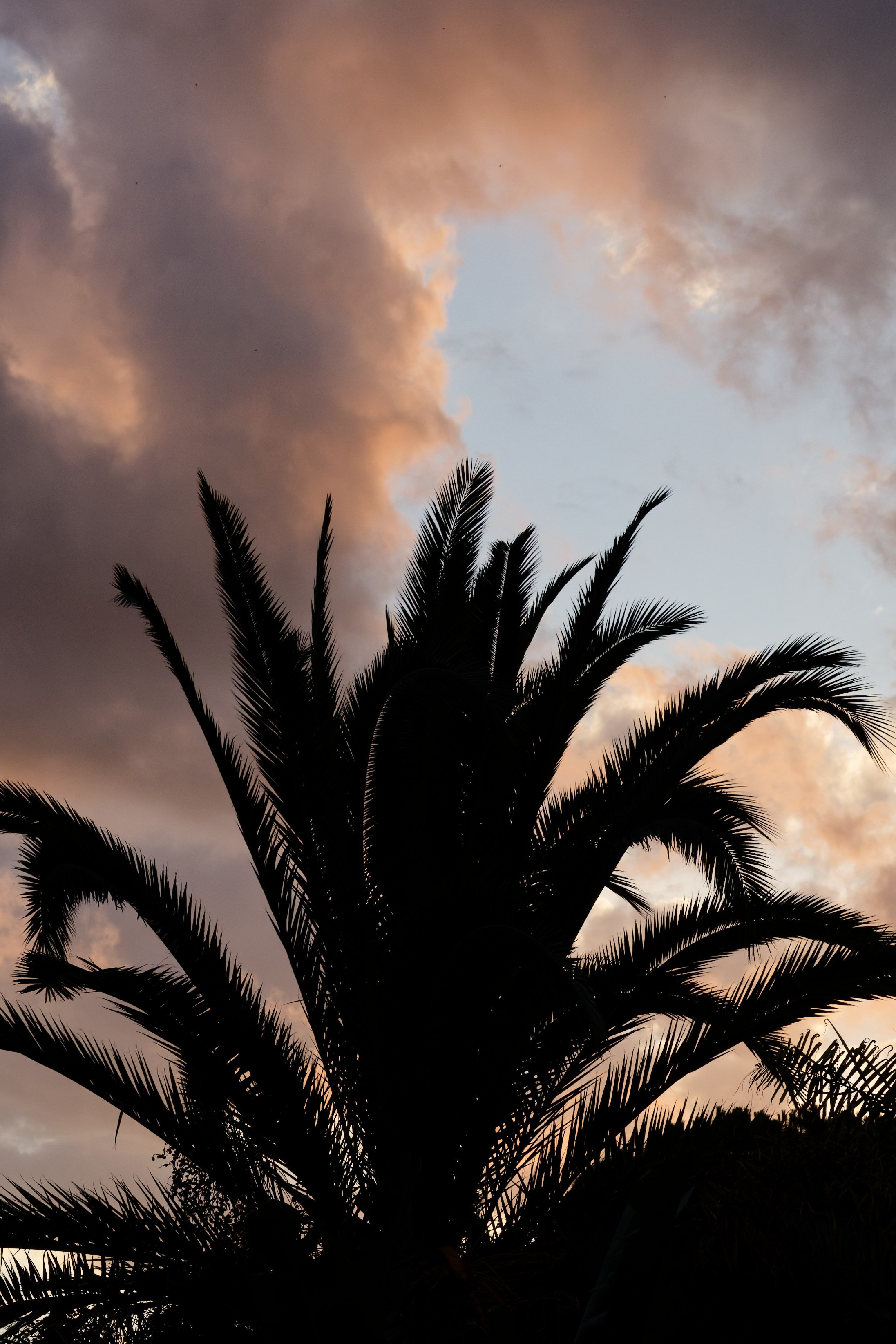 Welcome dinner of Gracie & Joe at Gran Villa Rosa