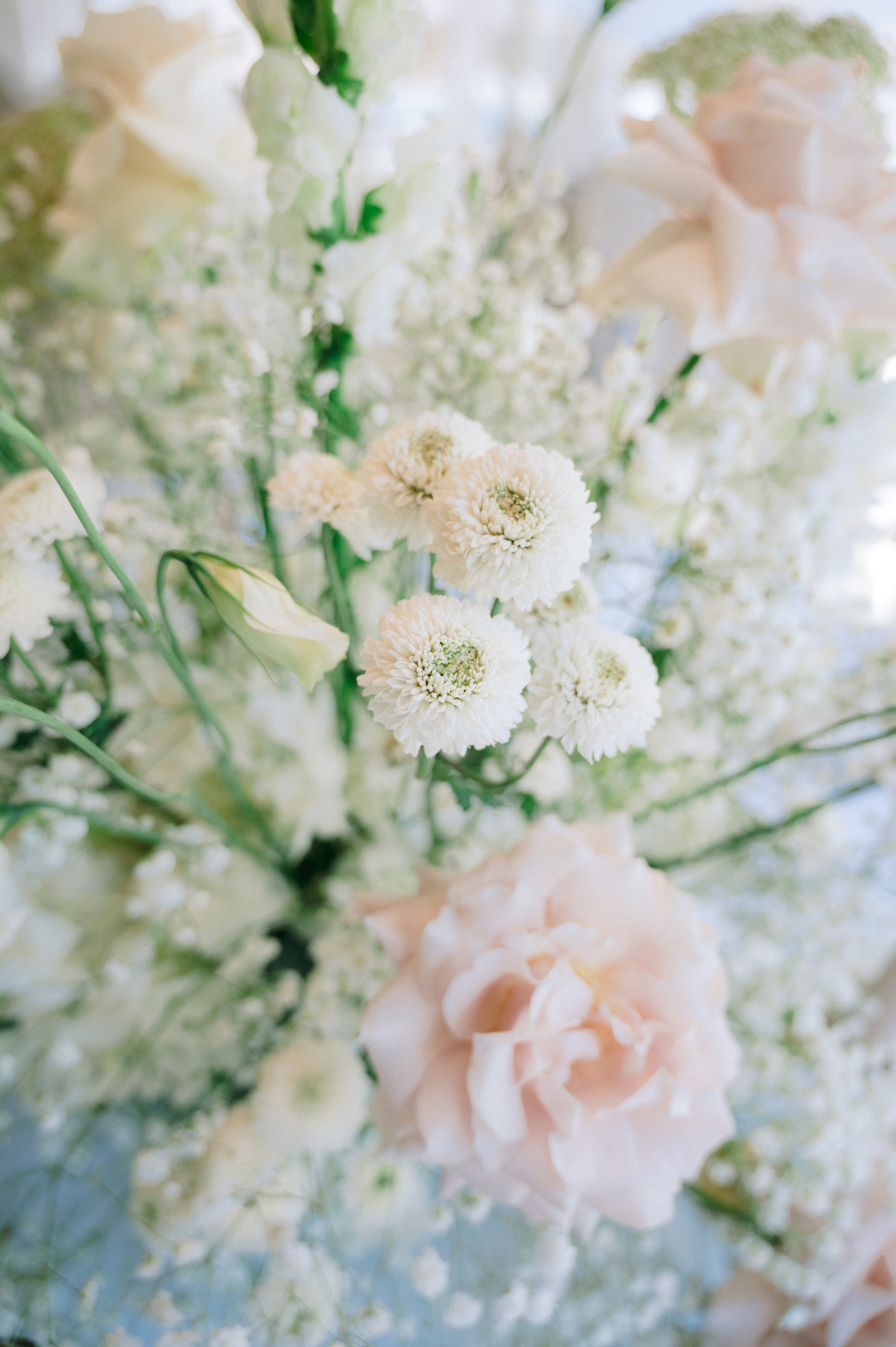 Dominican Republic wedding kukua. Punta cana wedding family fashion photographer dominican republic, destination wedding photographer, elopement photography Punta Cana