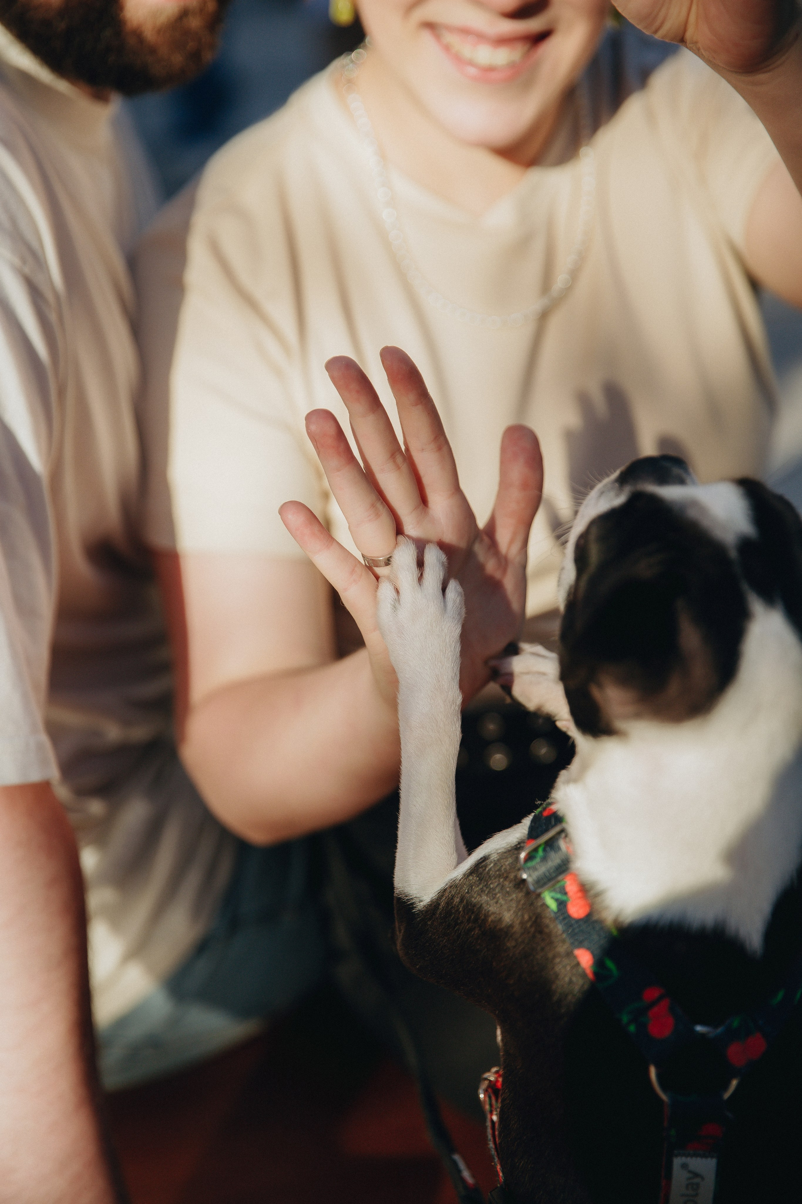 Polina, Dima & Roxy. Photographer in Los Angeles. Julia Ishmuratova