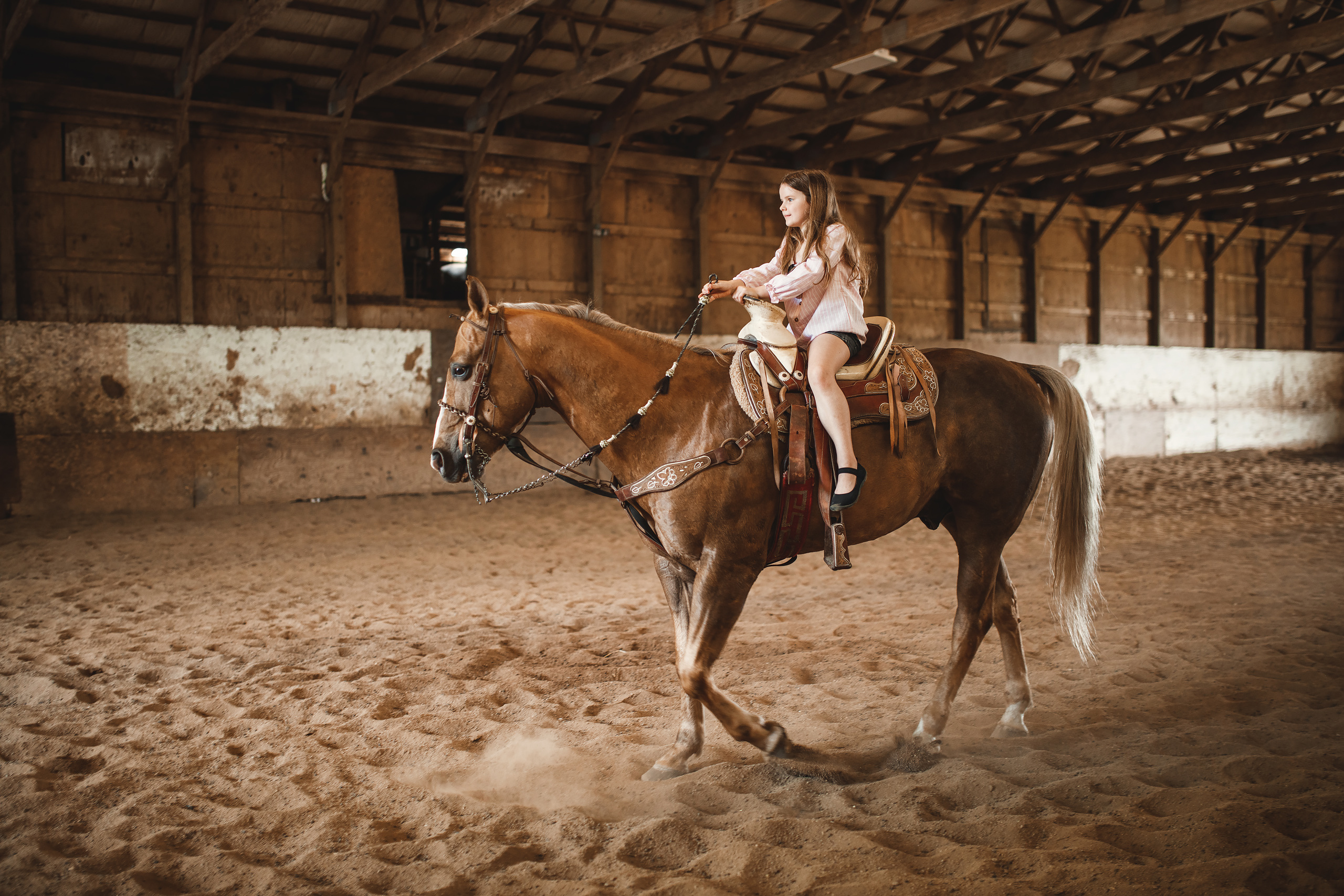 05.24.2020 Horse Farm. Wedding family event photographer in Chicago Nick Yushevich