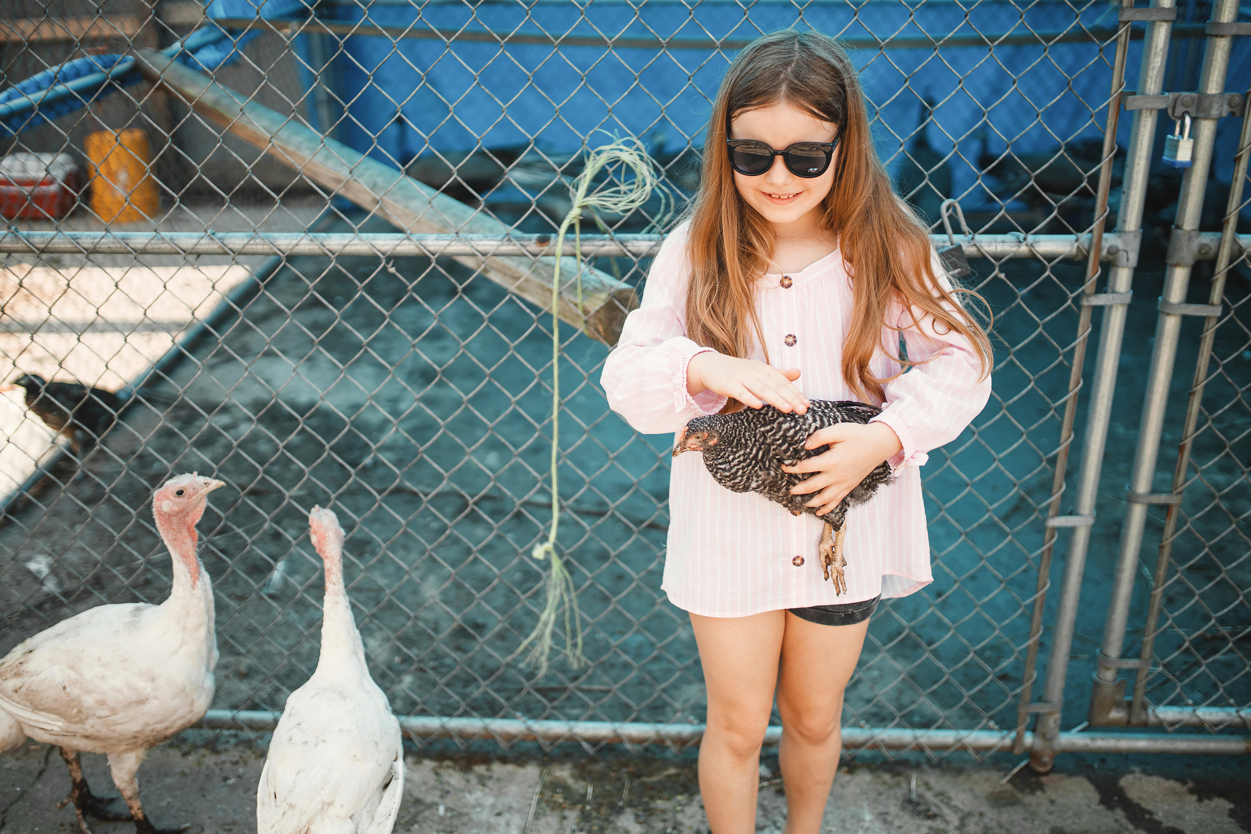 05.24.2020 Horse Farm. Wedding family event photographer in Chicago Nick Yushevich