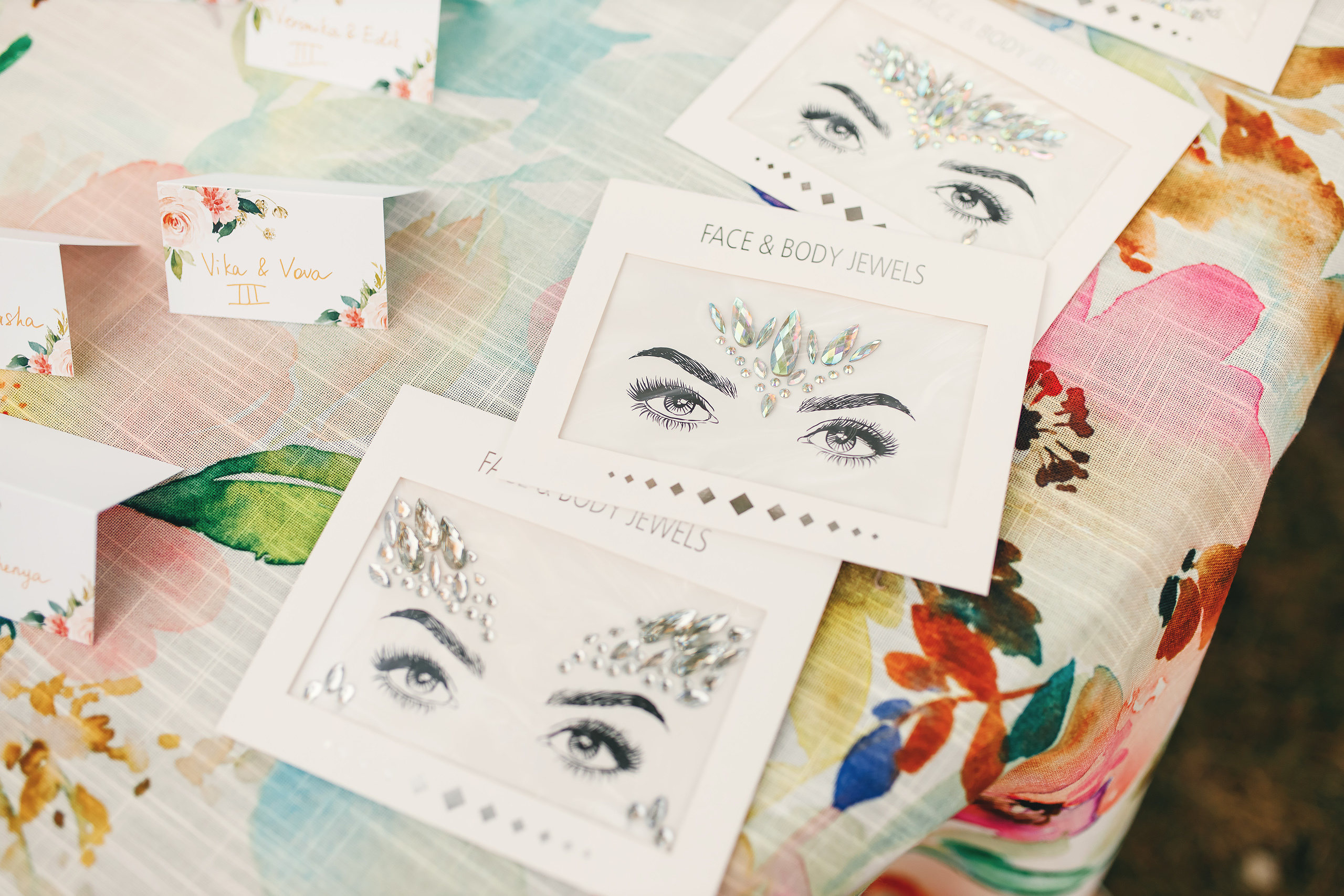 Katrina’s birthday. Wedding family event photographer in Chicago Nick Yushevich