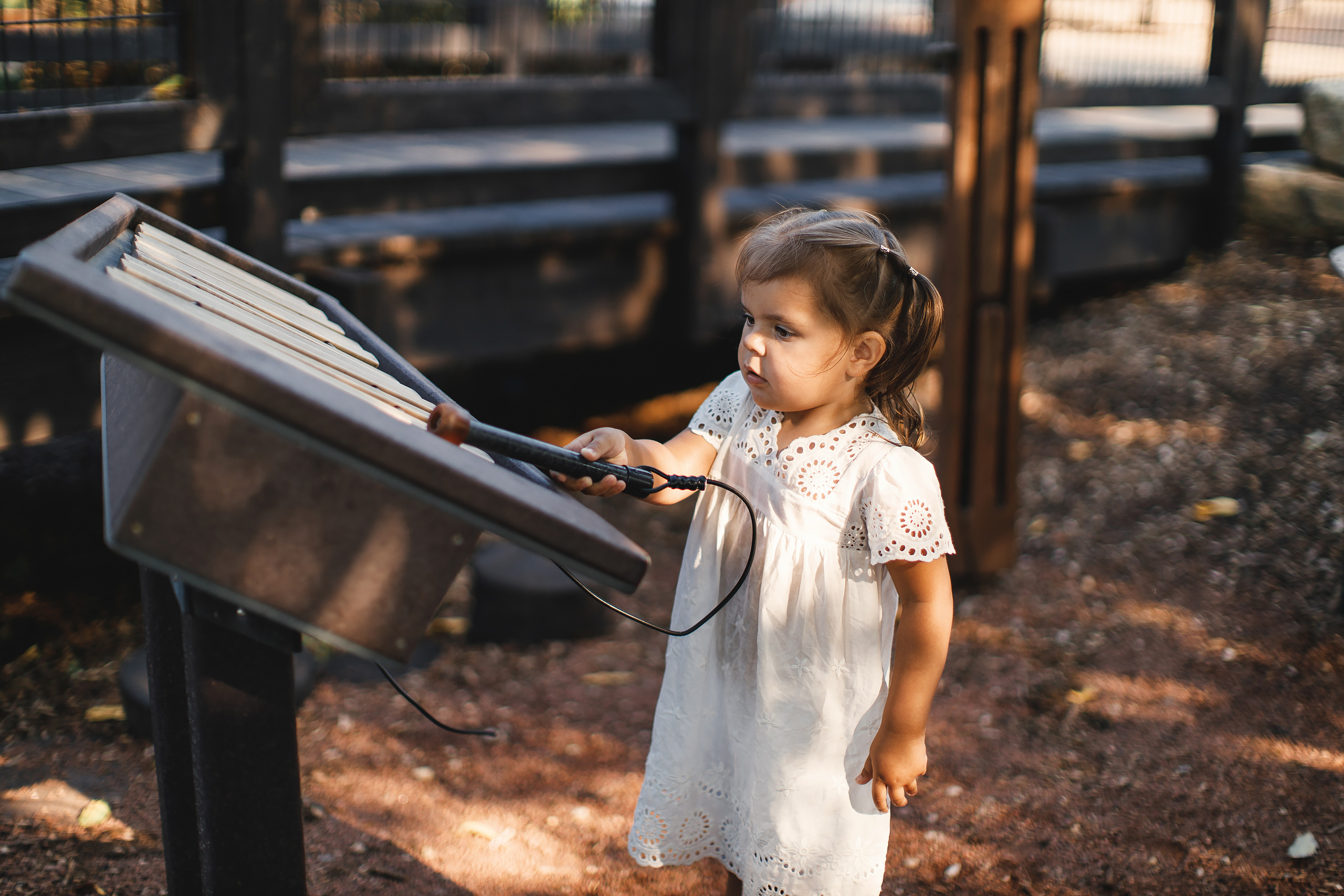09.06.2020 Family photoshoot. Wedding family event photographer in Chicago Nick Yushevich