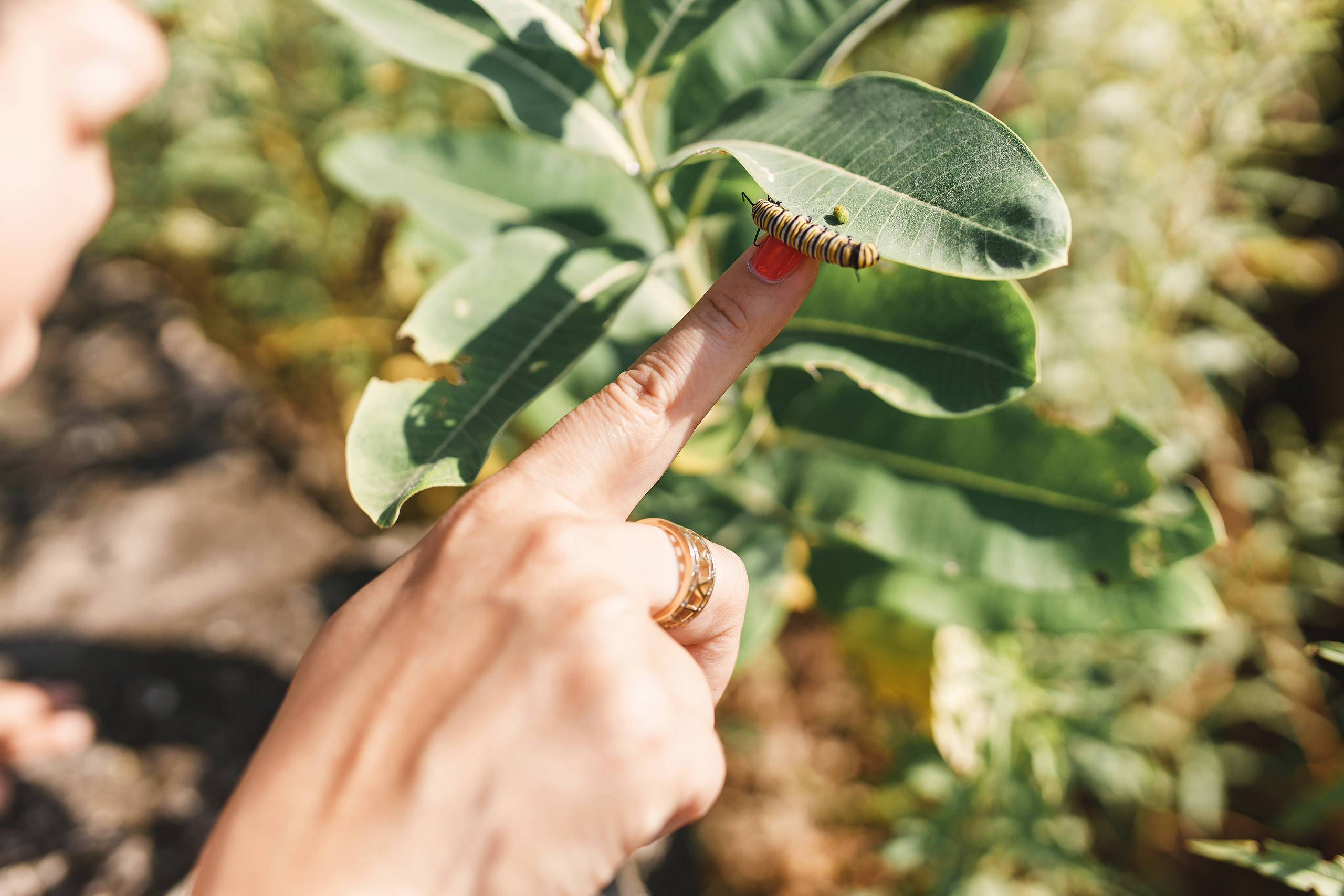 09.06.2020 Family photoshoot. Wedding family event photographer in Chicago Nick Yushevich