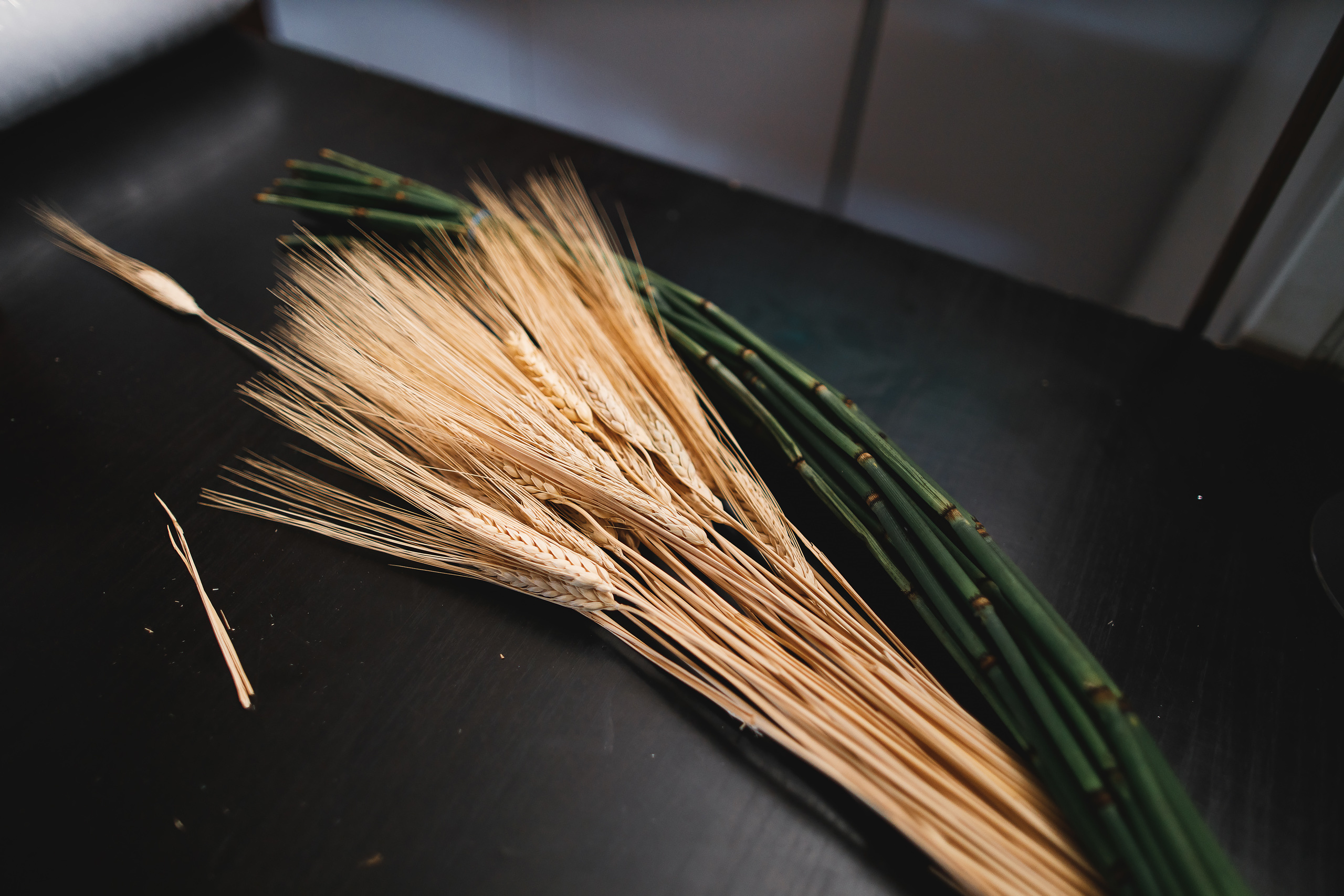 09.05.2020 Wedding. Wedding family event photographer in Chicago Nick Yushevich