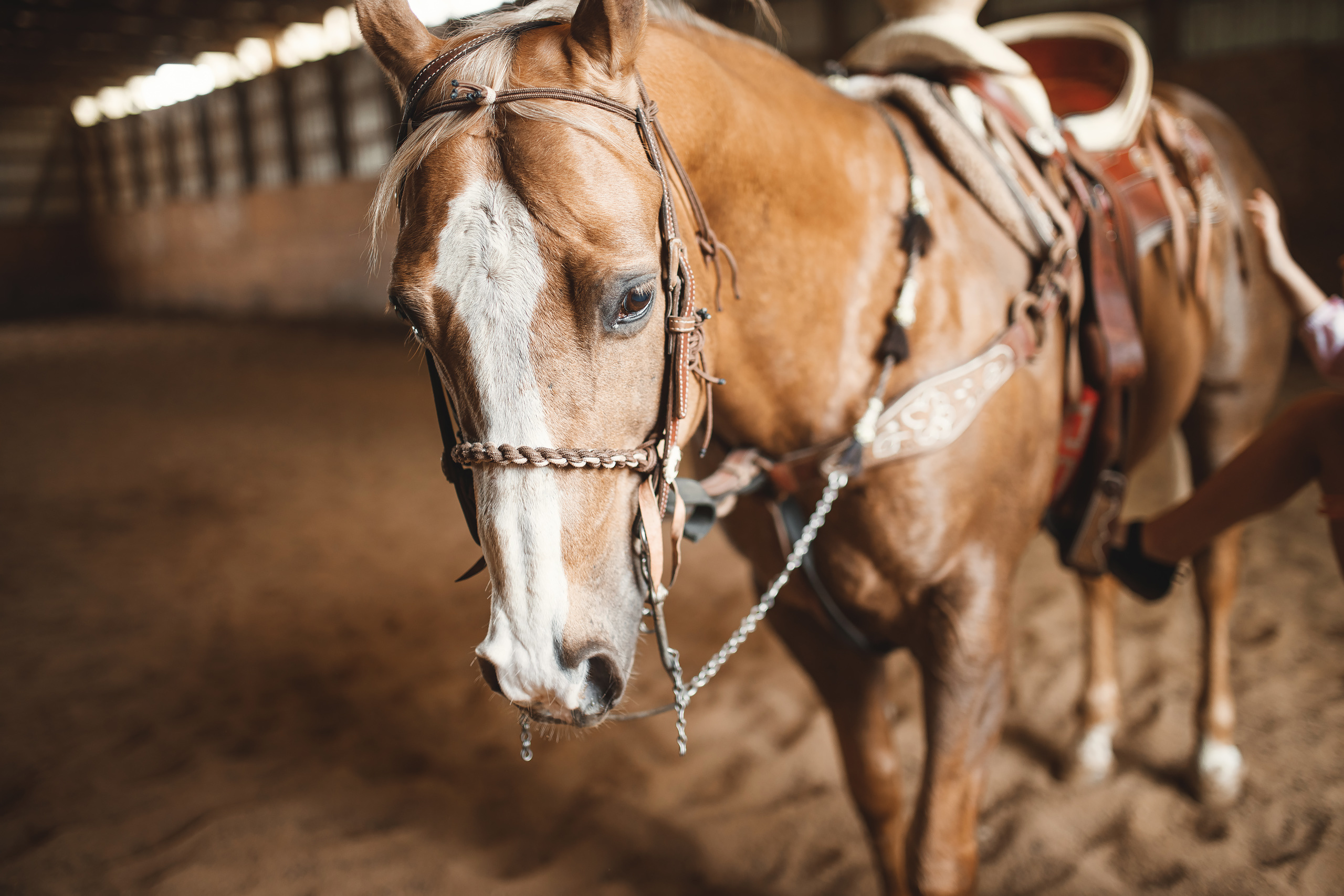 05.24.2020 Horse Farm. Wedding family event photographer in Chicago Nick Yushevich