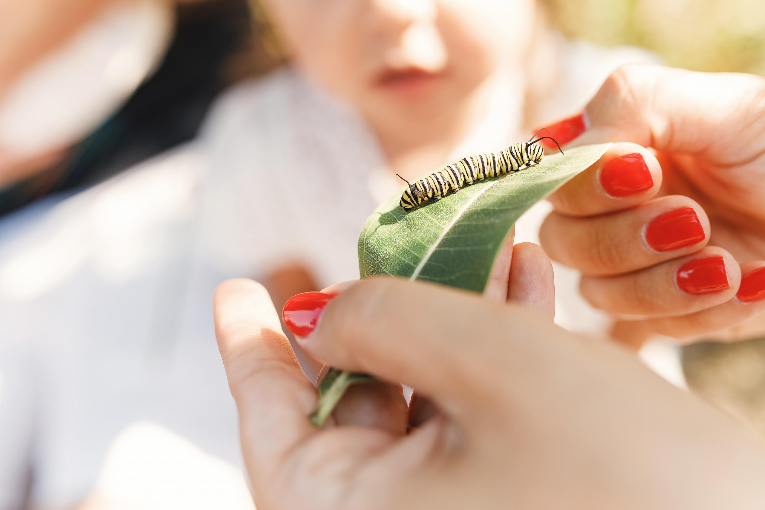 09.06.2020 Family photoshoot. Wedding family event photographer in Chicago Nick Yushevich