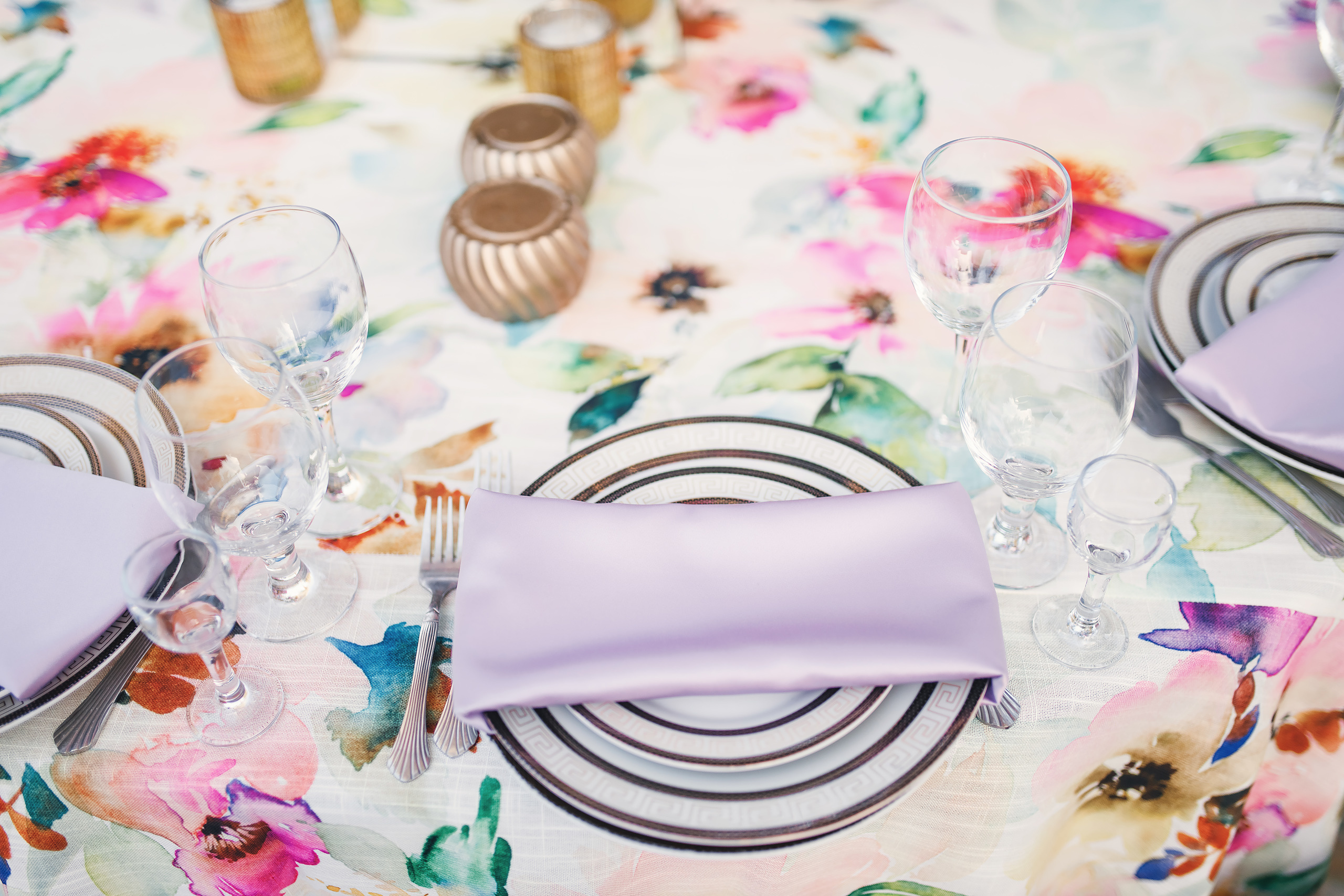 Katrina’s birthday. Wedding family event photographer in Chicago Nick Yushevich