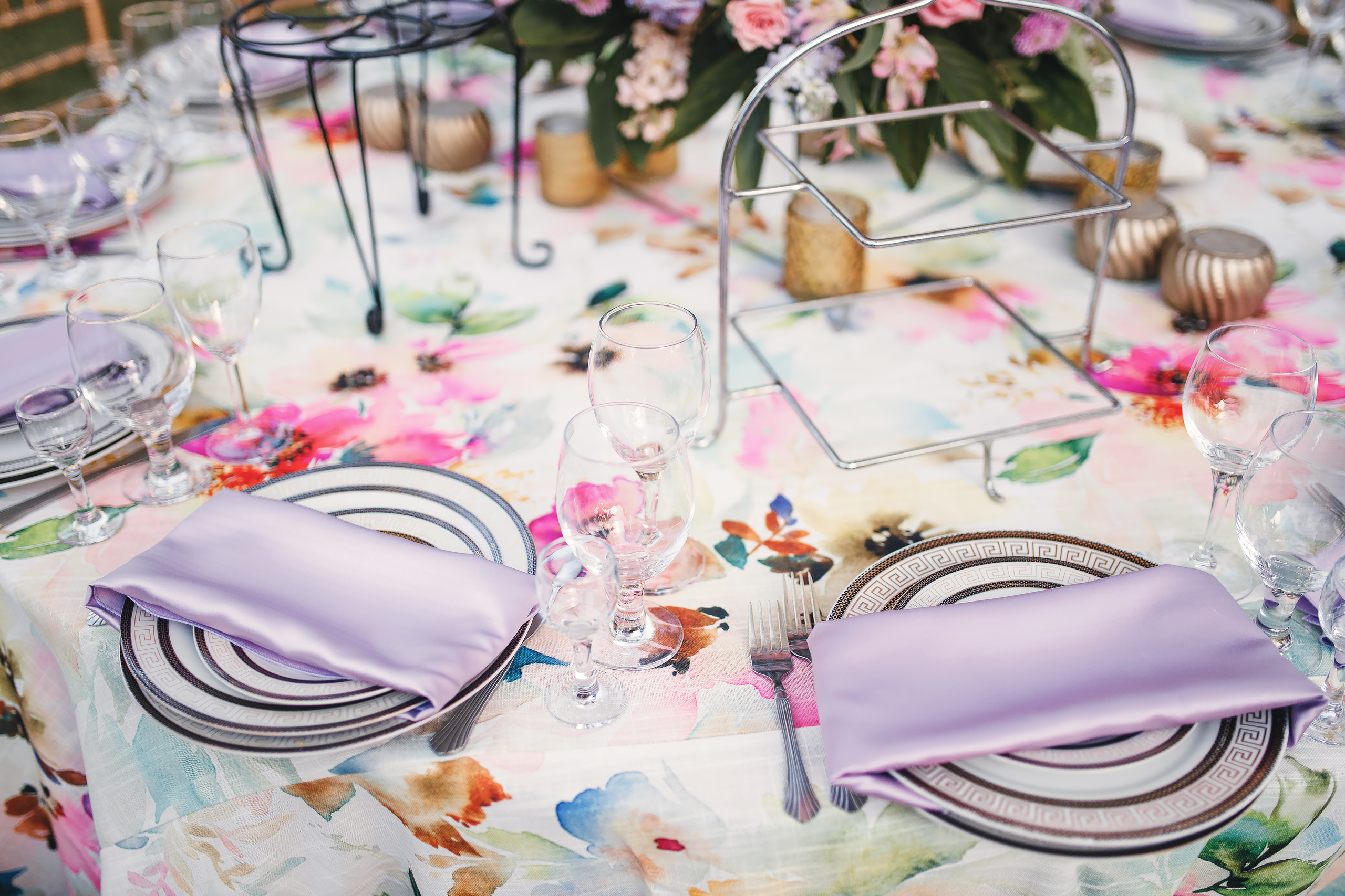 Katrina’s birthday. Wedding family event photographer in Chicago Nick Yushevich