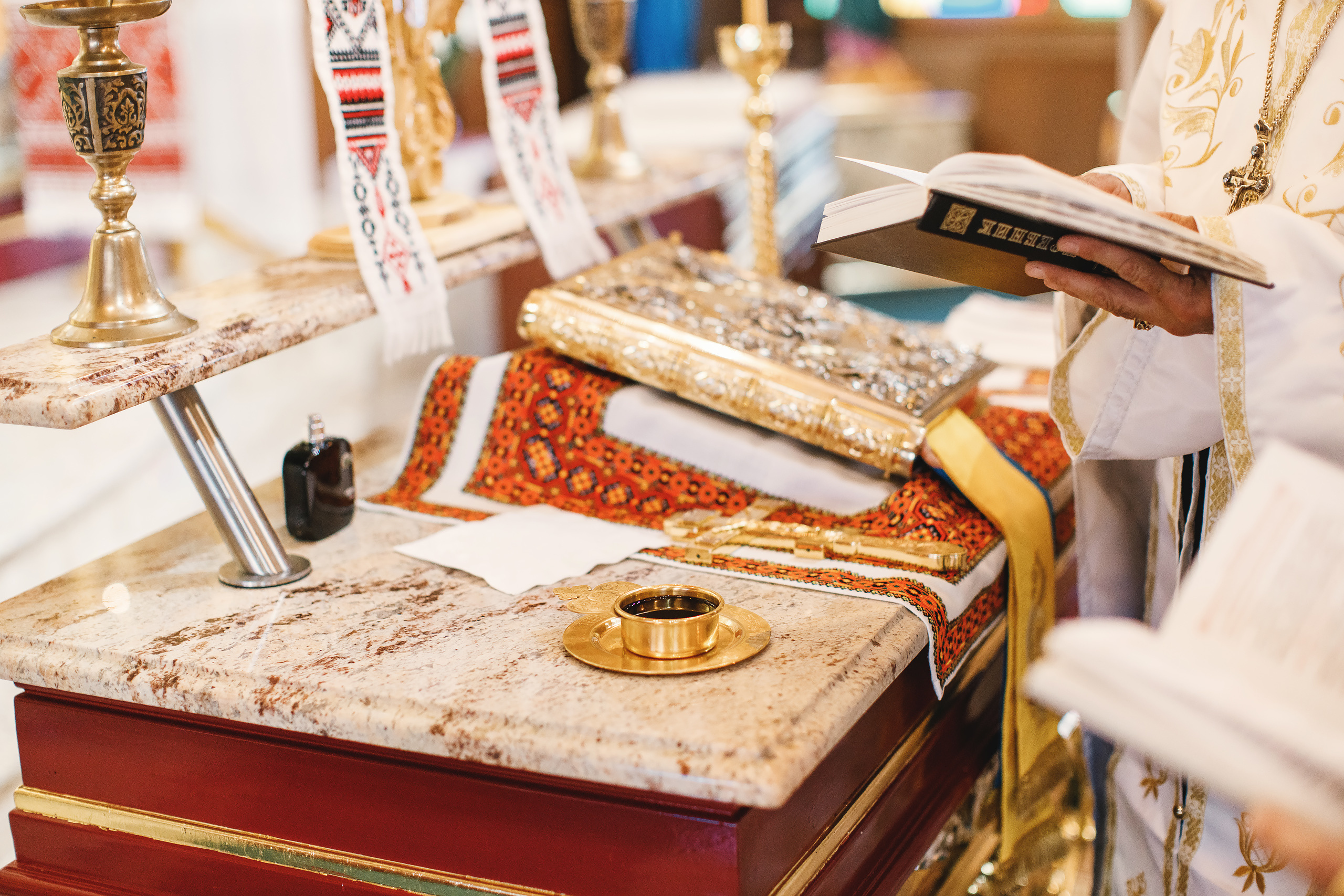 09.05.2020 Wedding. Wedding family event photographer in Chicago Nick Yushevich