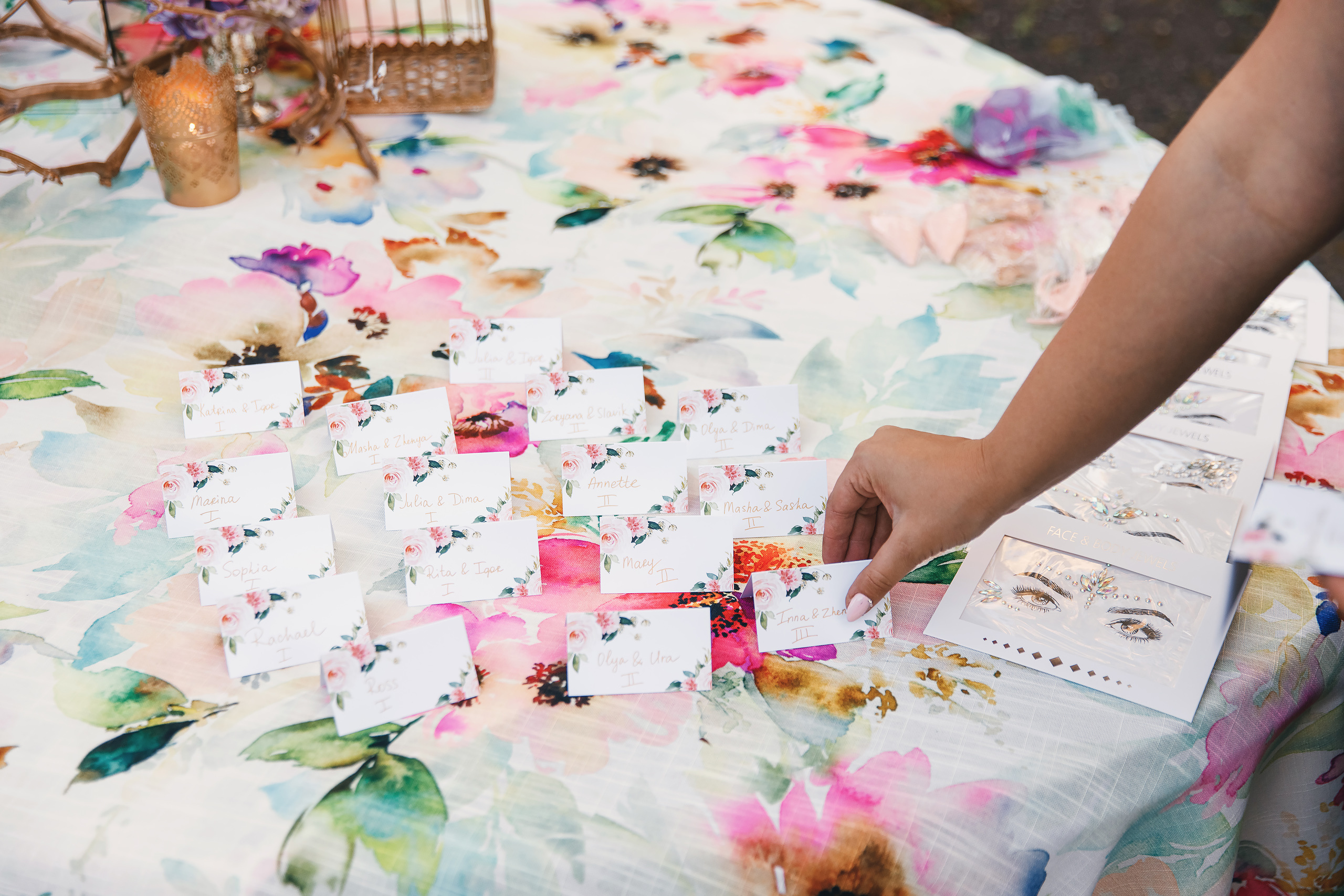 Katrina’s birthday. Wedding family event photographer in Chicago Nick Yushevich