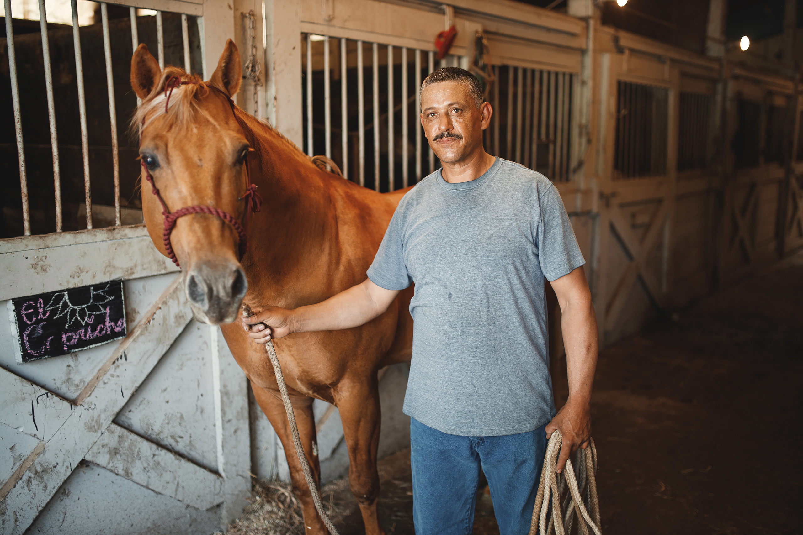 05.24.2020 Horse Farm. Wedding family event photographer in Chicago Nick Yushevich