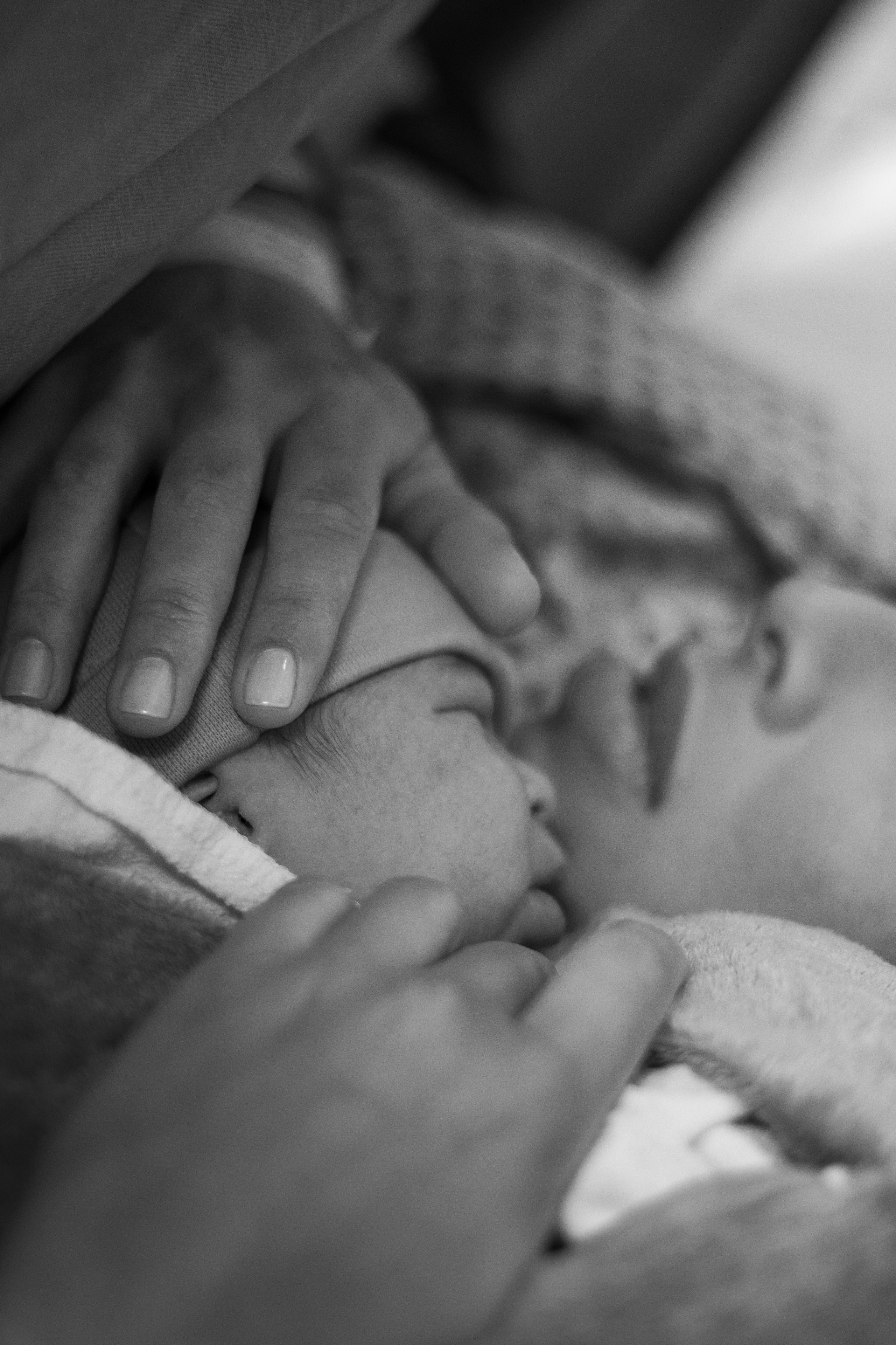 Nascimento Lucca. Principal