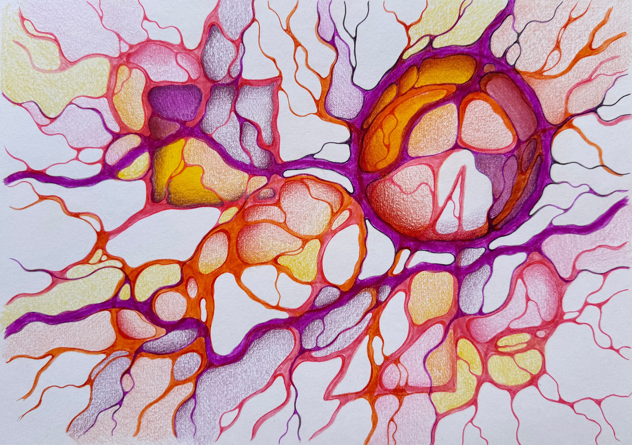 Moje slike. Numerologija. Nevrografika. Delavnice