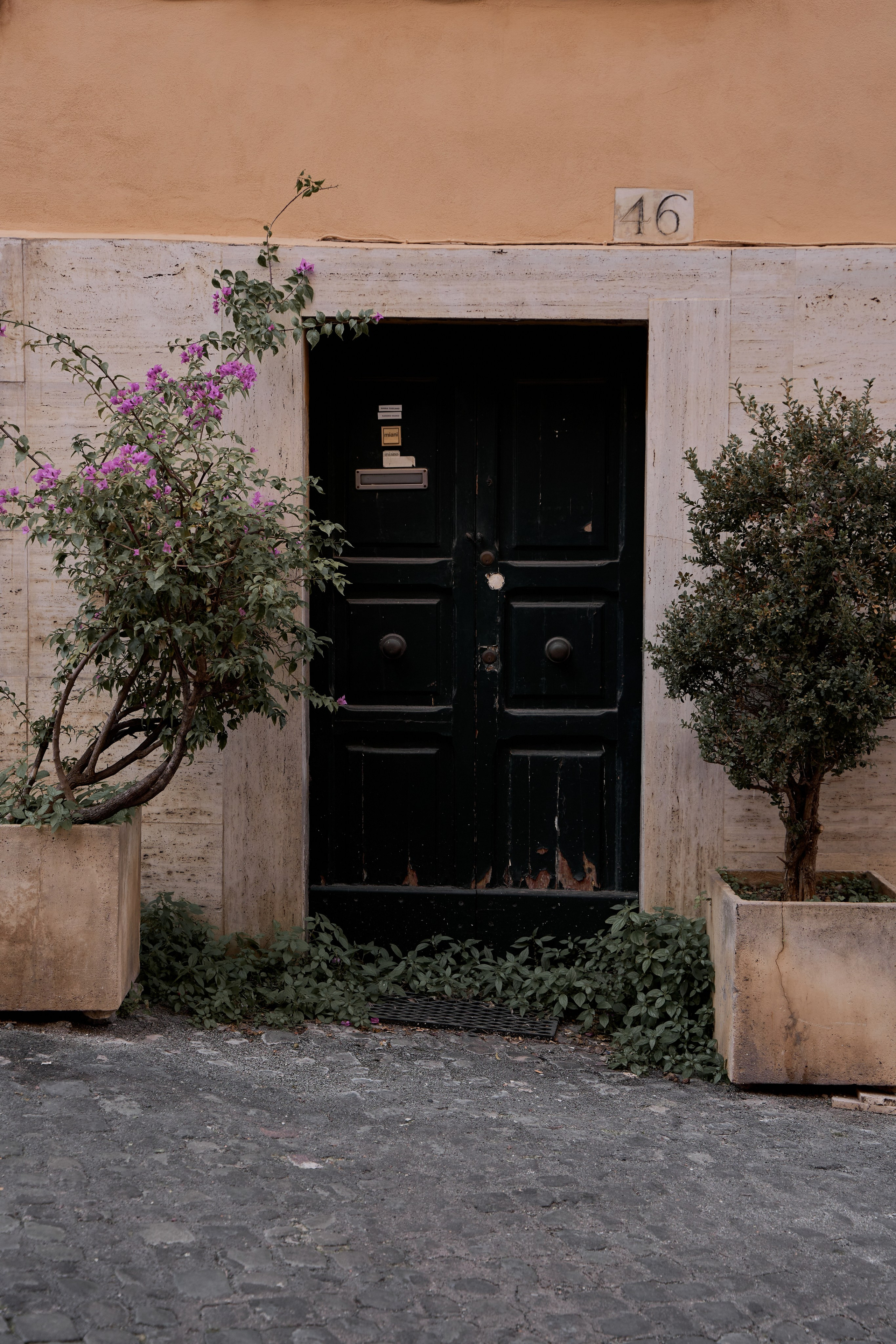 Моими глазами. Salut!