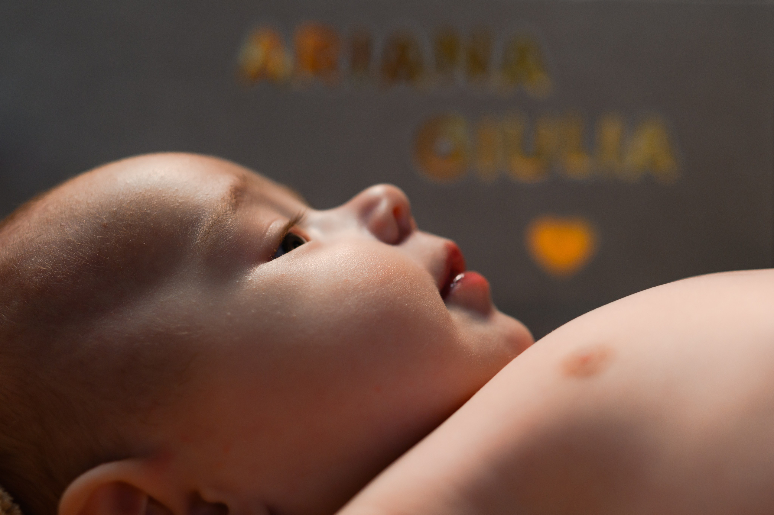 Ariana Giulia. Erik Bagy | Fotograf de Nuntă