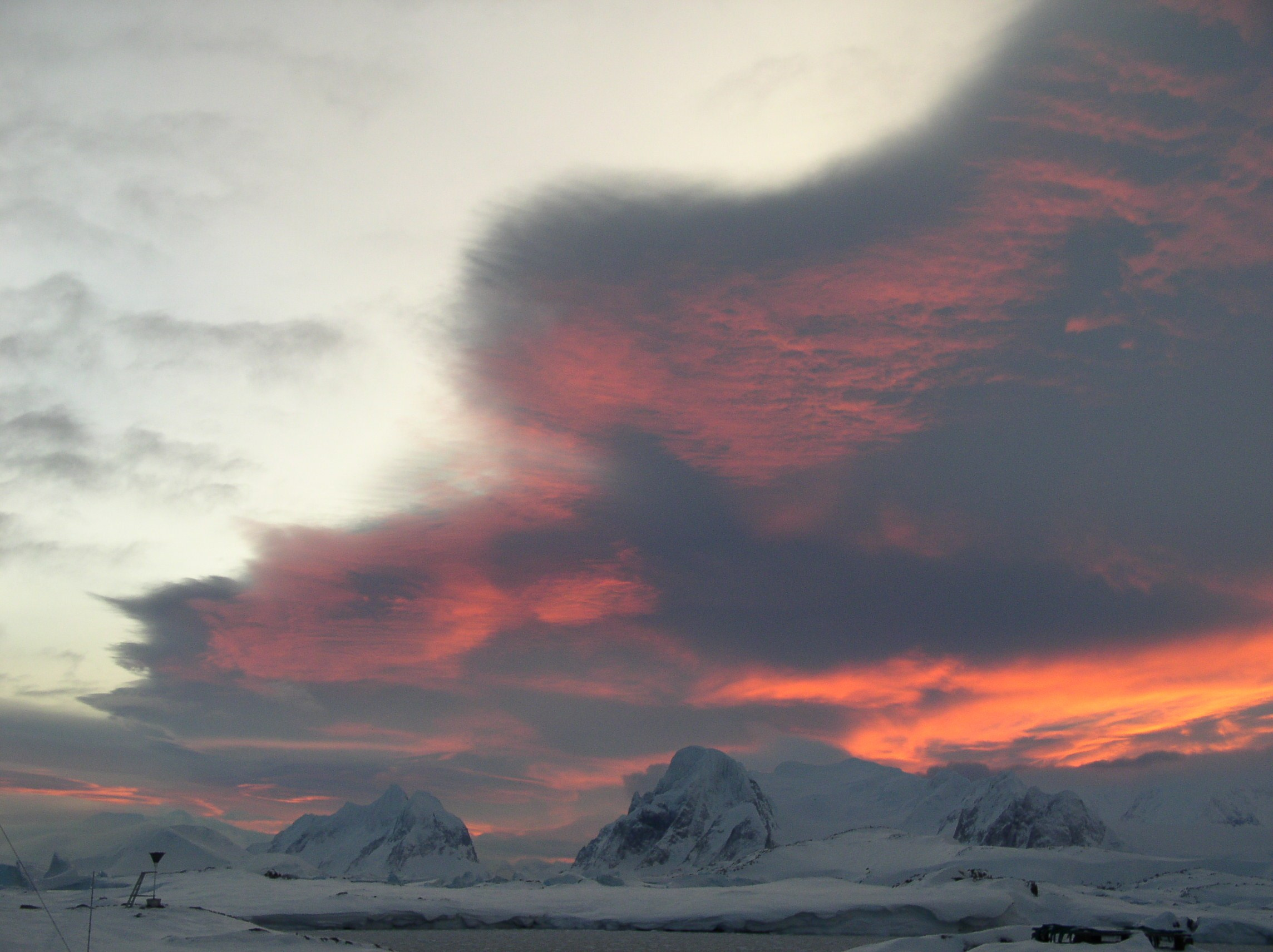 ANTARCTICA. Reportage concert portrait photography in the San Francisco Bay Area