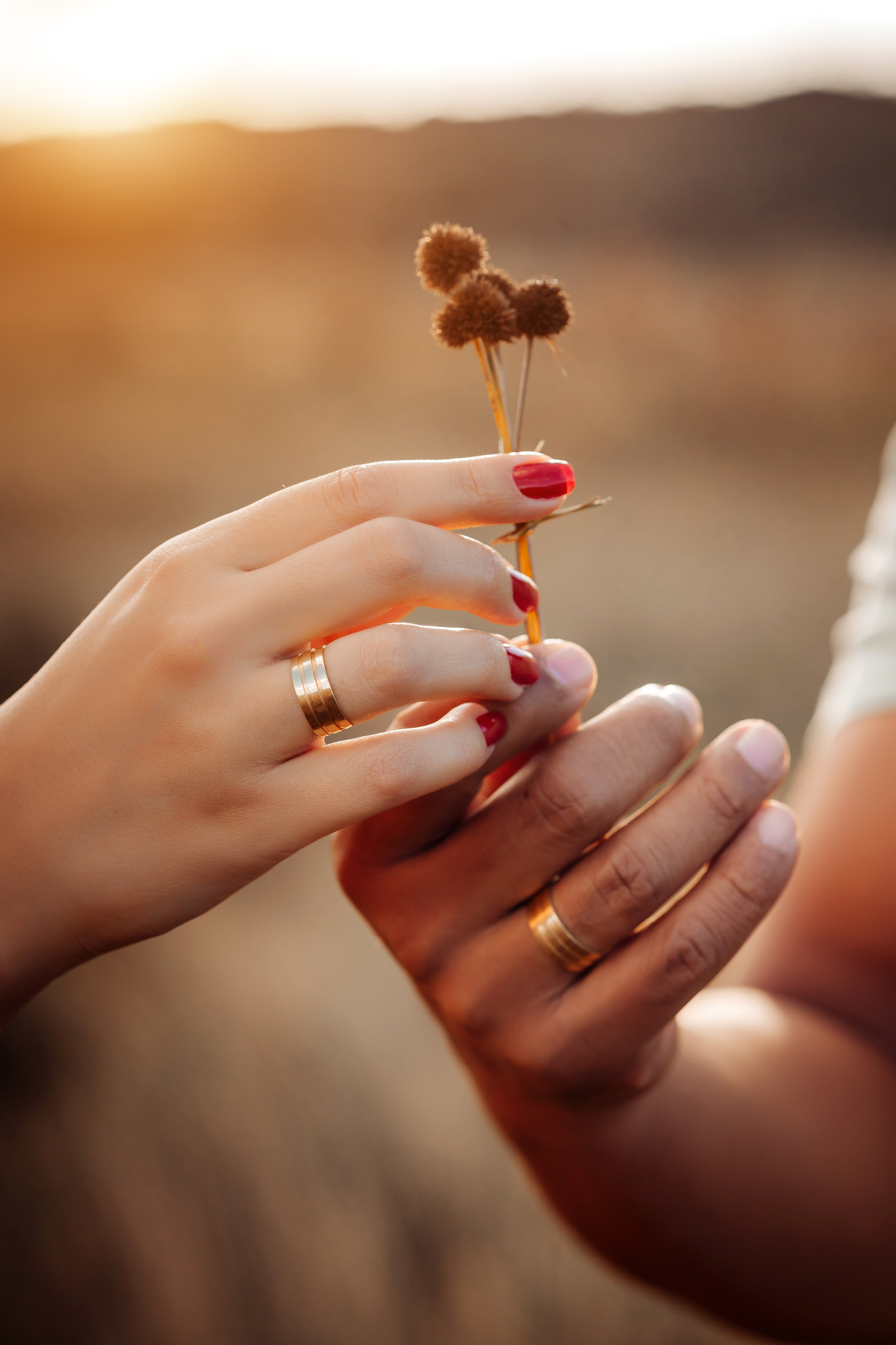 Francilene e Paulo. Fotografia de casamento e ensaios | Montes Claros/MG