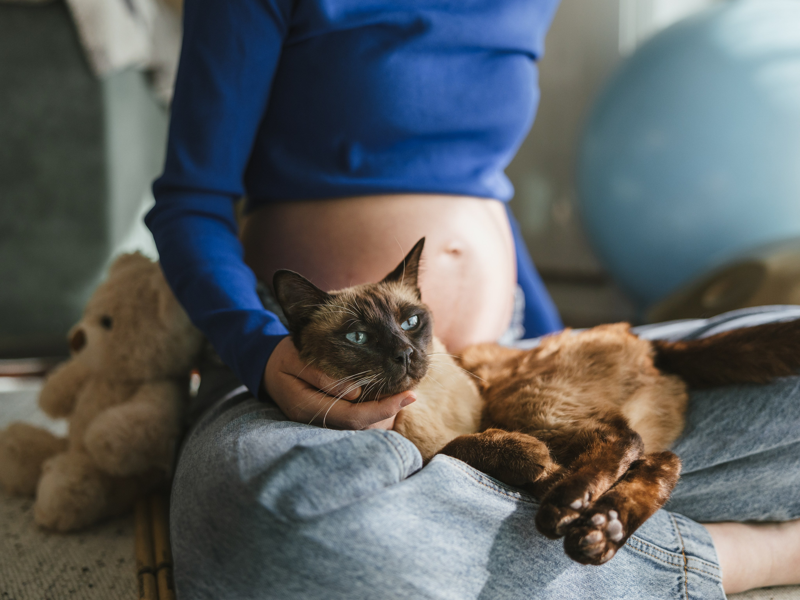 Photos of pets. Shanghai Family Photographer Dora