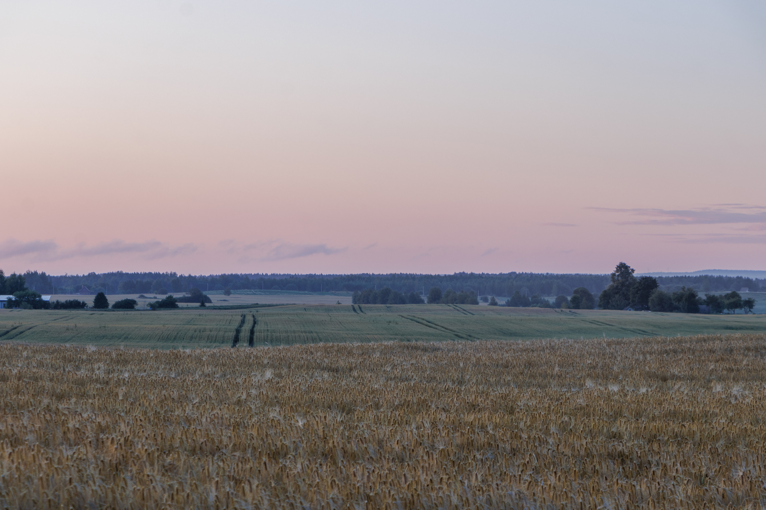Landscape. Portrait and Street photographer in Vilnius Edgar Shaipunas