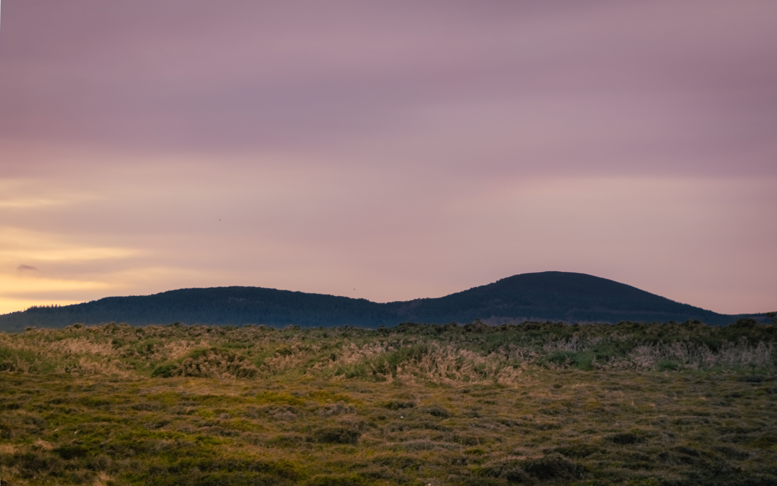 Landscape. Portrait and Street photographer in Vilnius Edgar Shaipunas
