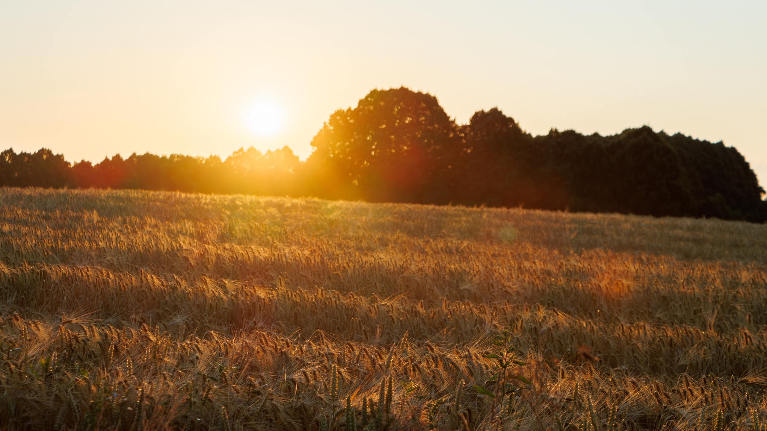 Landscape. Portrait and Street photographer in Vilnius Edgar Shaipunas