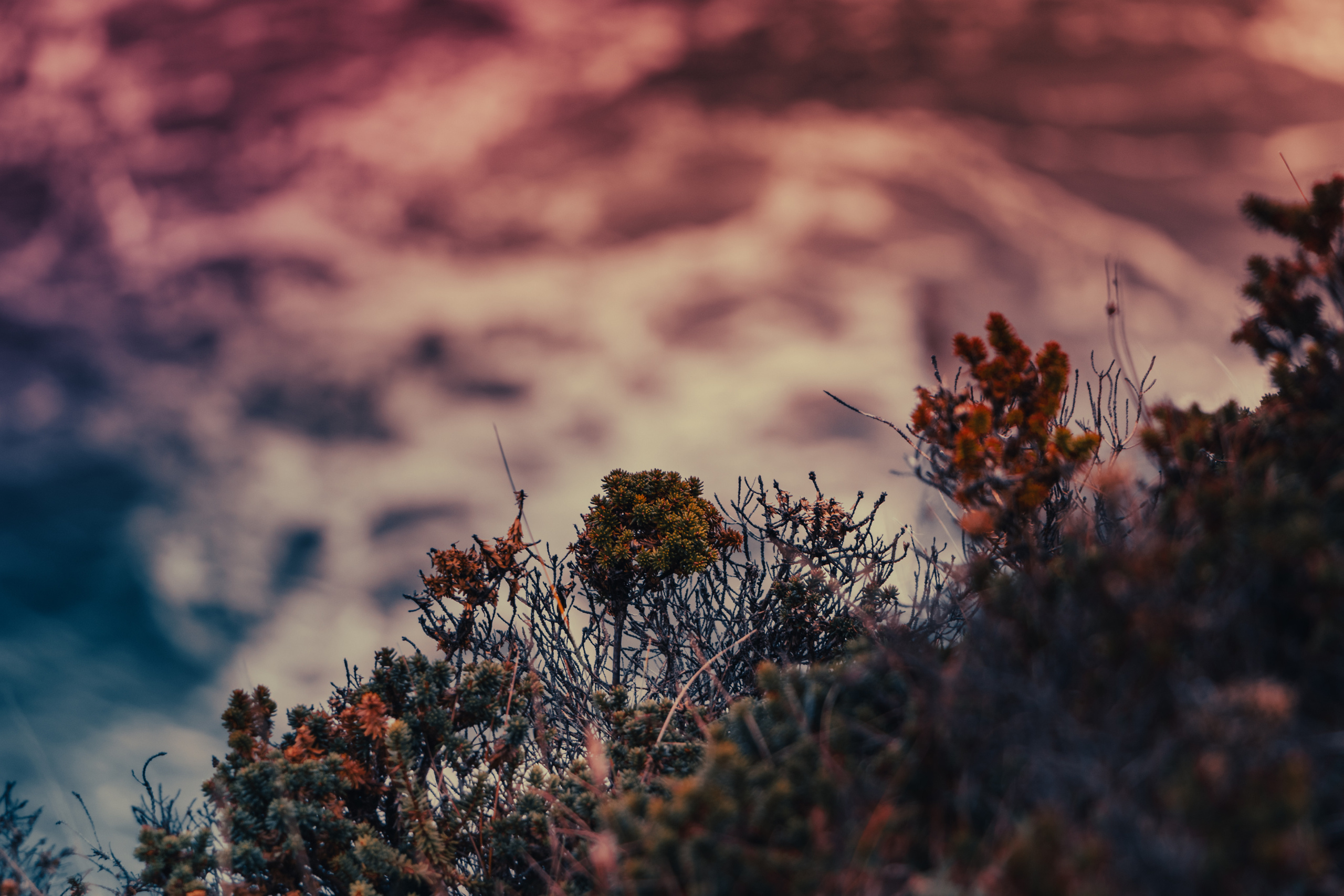 Portrait and Street photographer in Vilnius Edgar Shaipunas