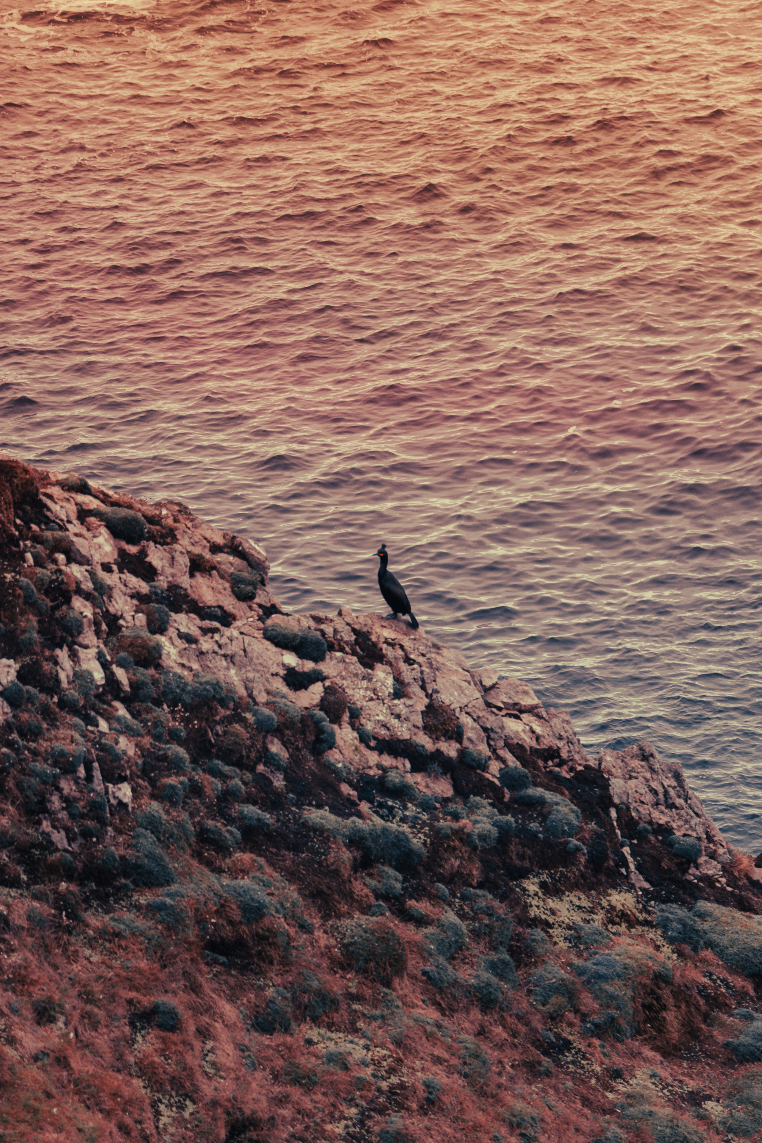 Nature. Portrait and Street photographer in Vilnius Edgar Shaipunas