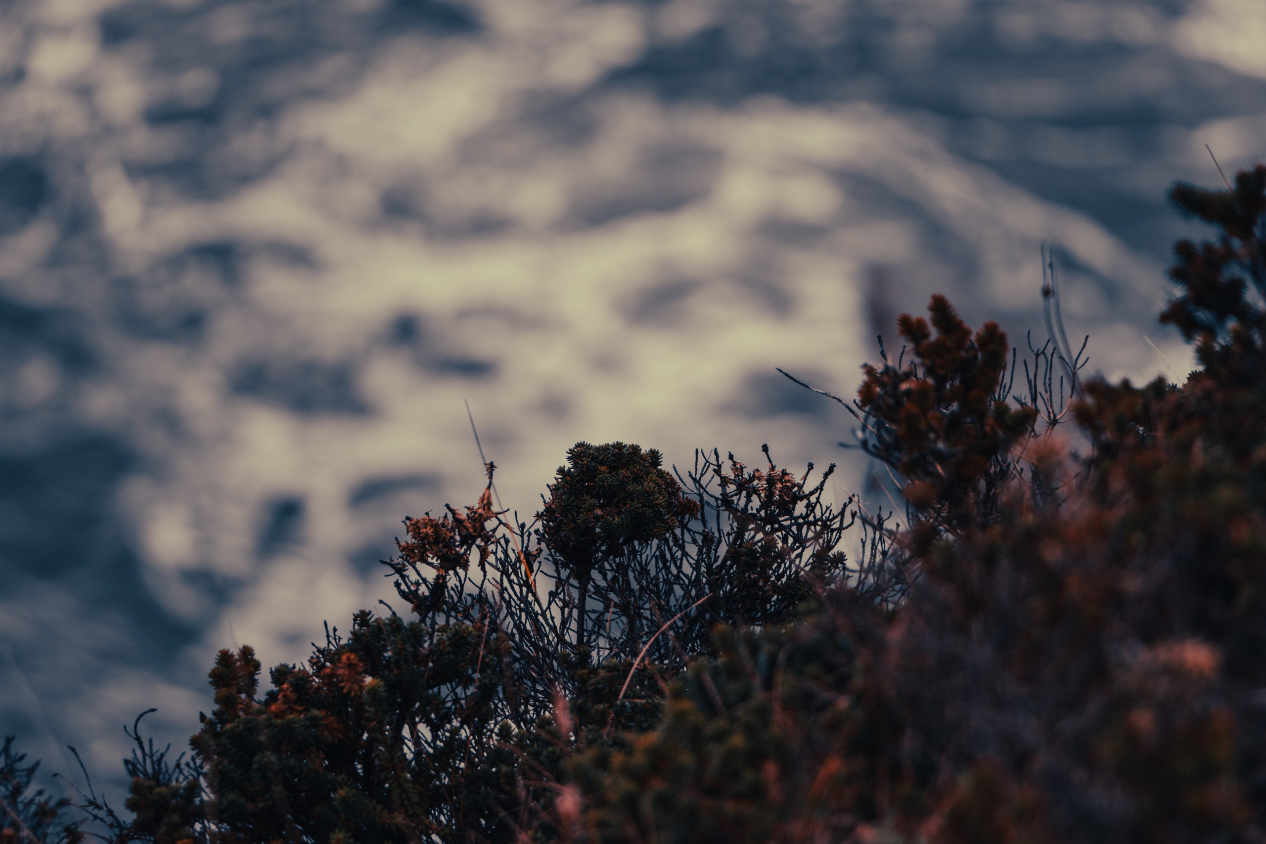 Portrait and Street photographer in Vilnius Edgar Shaipunas