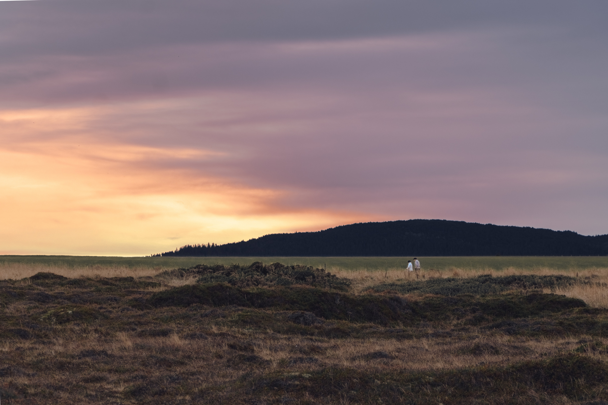 Landscape. Portrait and Street photographer in Vilnius Edgar Shaipunas