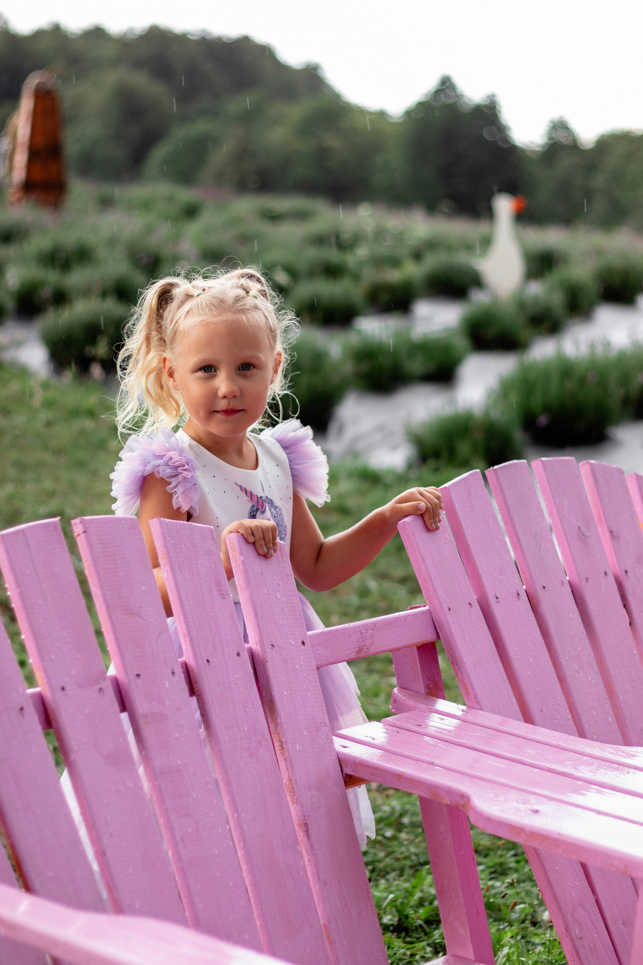 Лавандовое поле