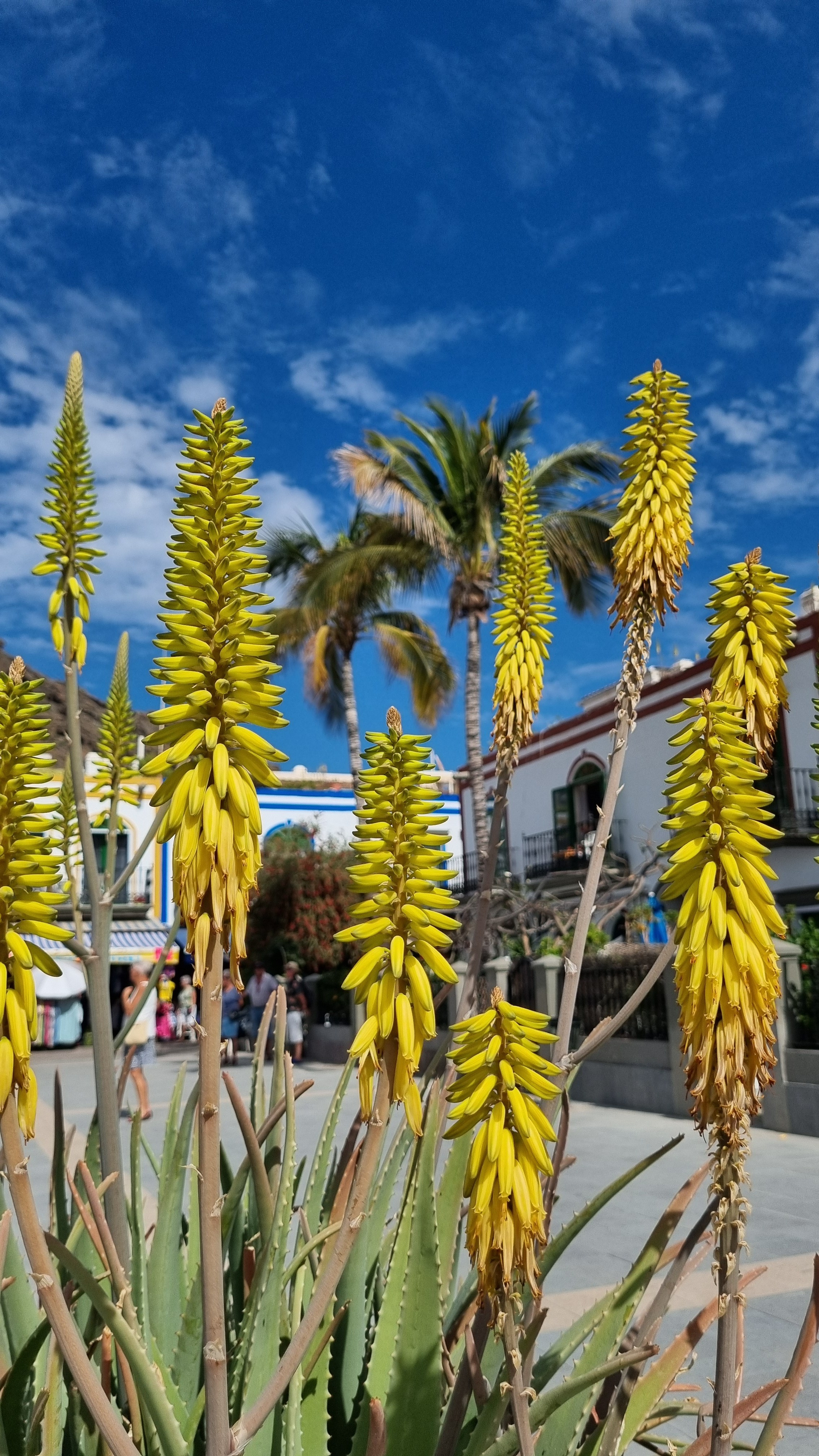 Gran Canaria 2024. Марина фотограф из Нюрнберга