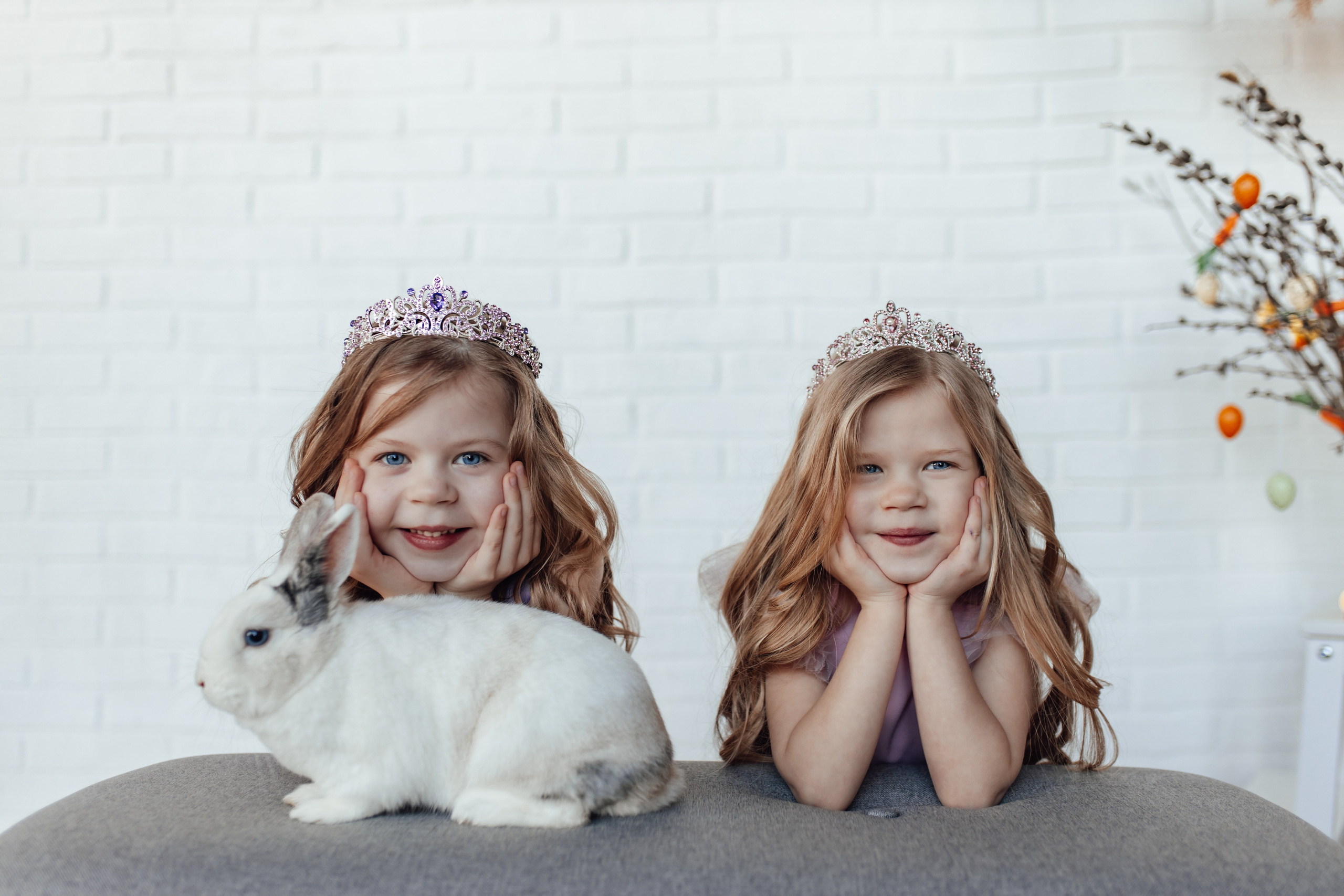 Zaķīši un kaķīši