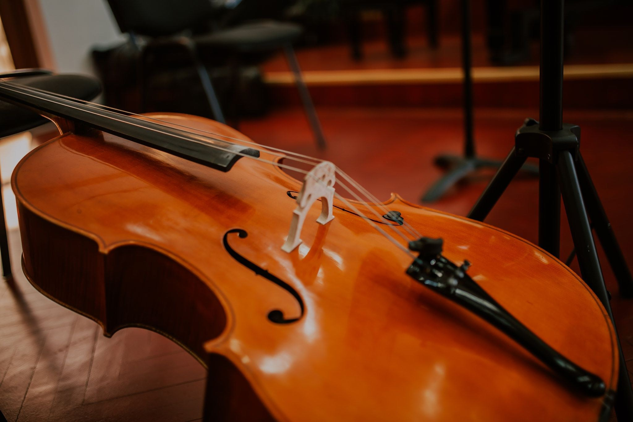 Denis & Ioana. Emotions Photo Art