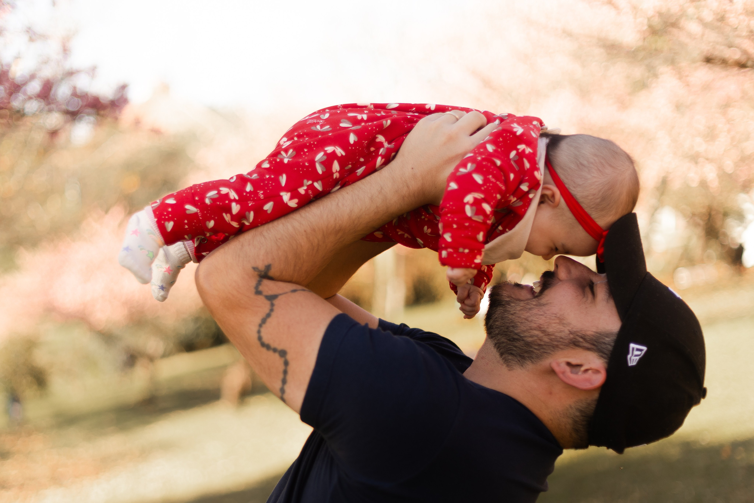 Minha familia nas cerejeiras