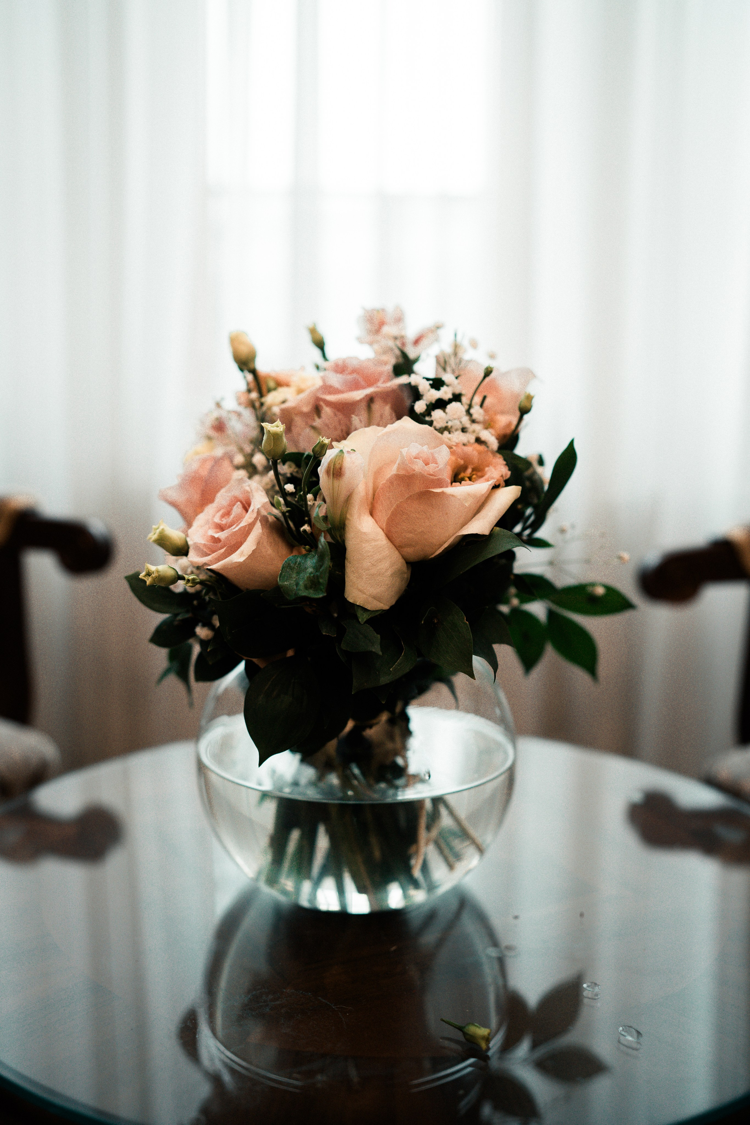 Profesionalna Fotografija Beograd — Staša Komatina