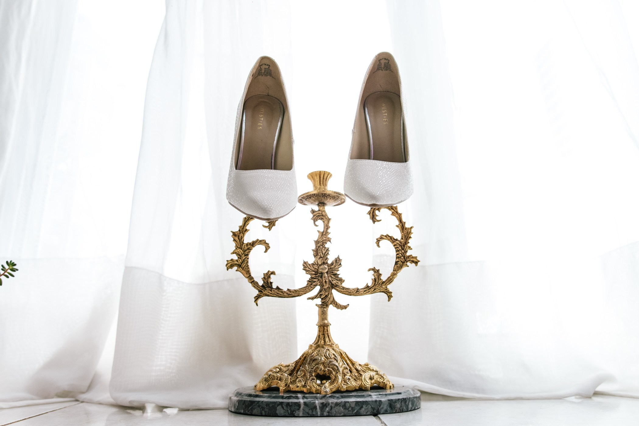 Preparativos /Getting Ready. Principal