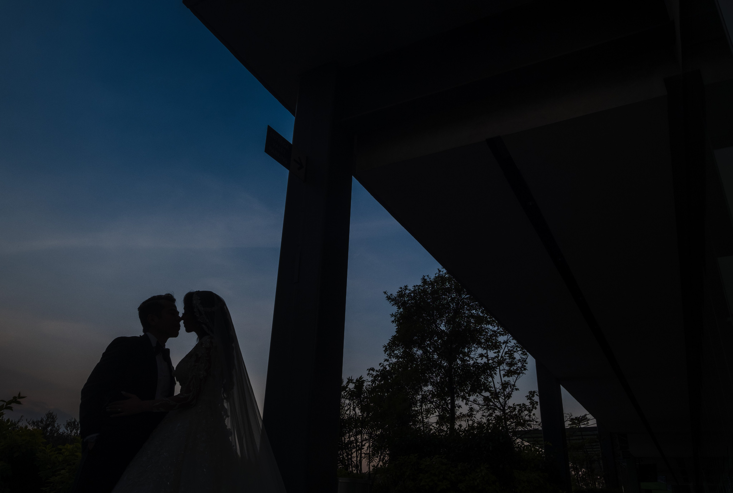 Dana & Fer / Cdmx. Wedding and family photographer in Mexico City