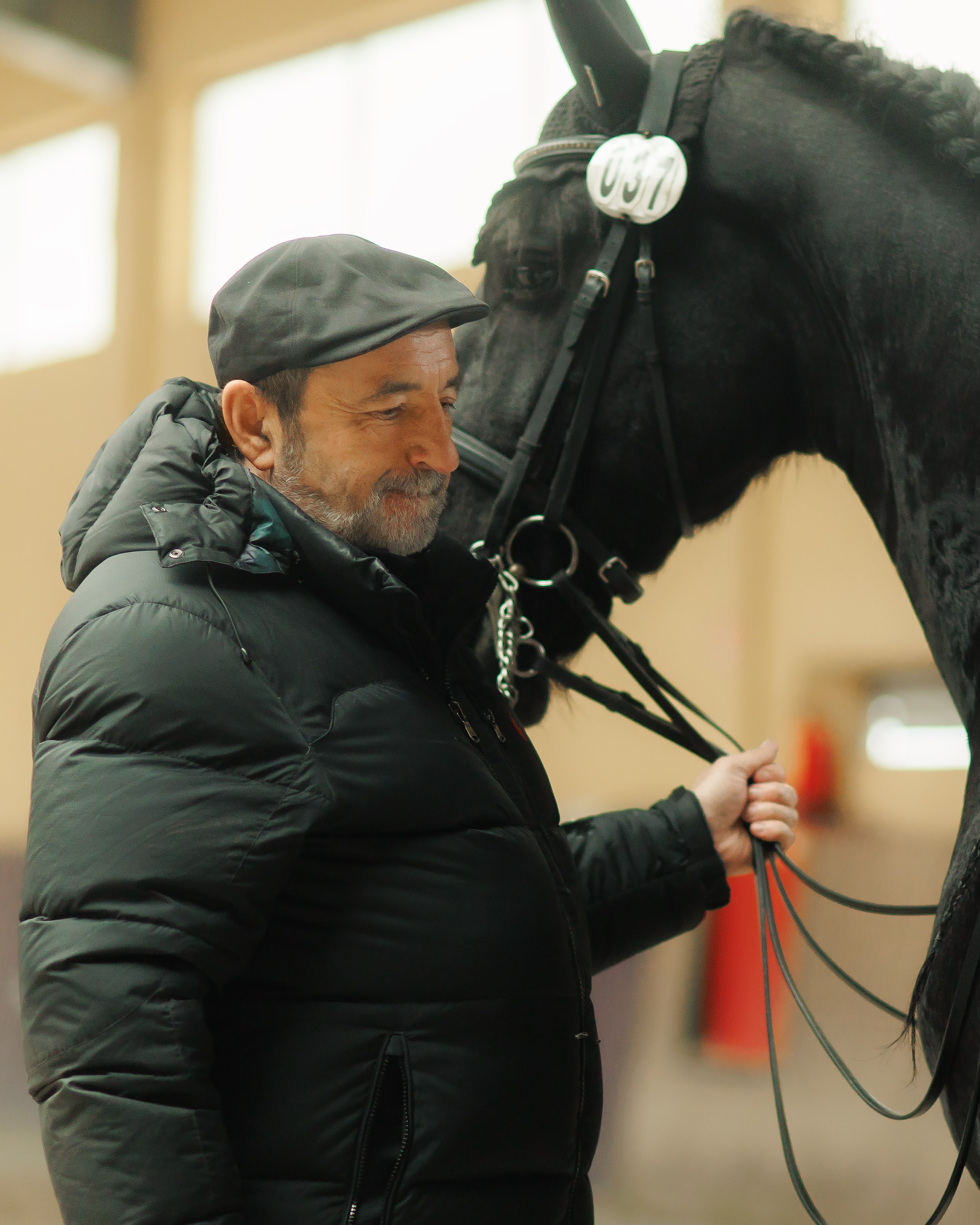 Fotografia koni Wrocław \ ujeżdżenie, Partynice. Kaja | fotograf we Wrocławiu | ludzie i psy