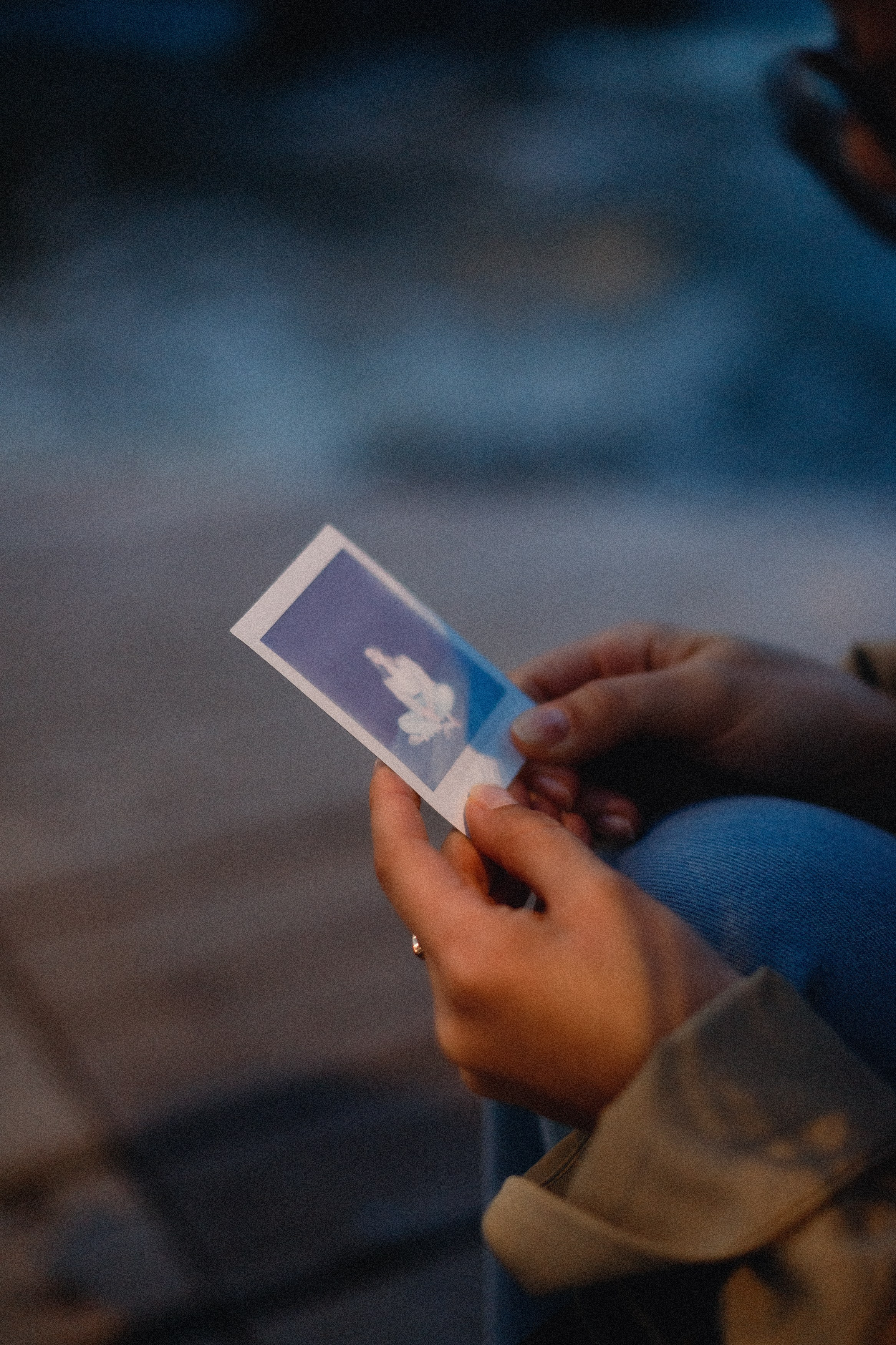 Darya & sea. Kaja | fotograf psów we Wrocławiu