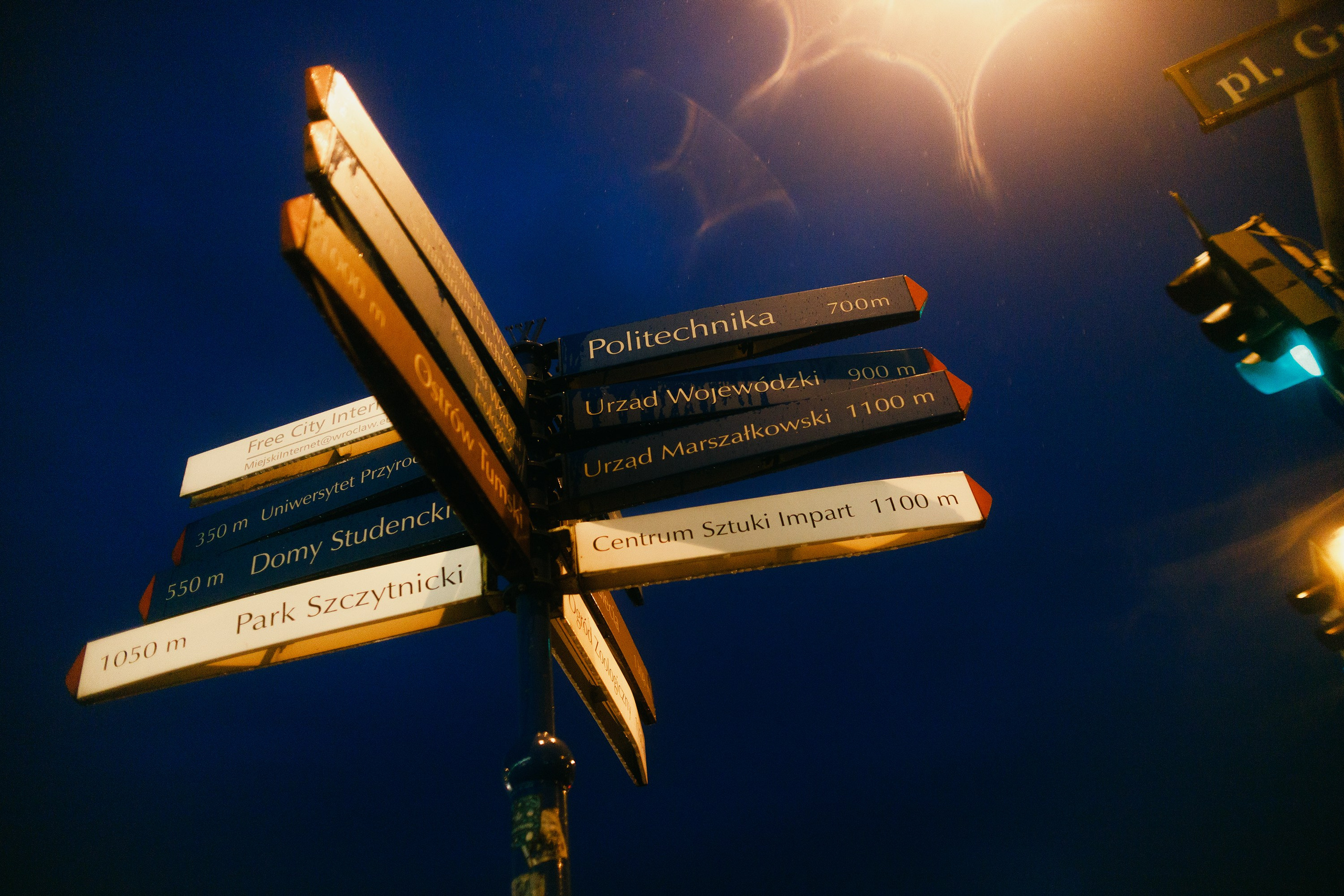 Night rainy Wroclaw. Kaja | fotograf psów we Wrocławiu