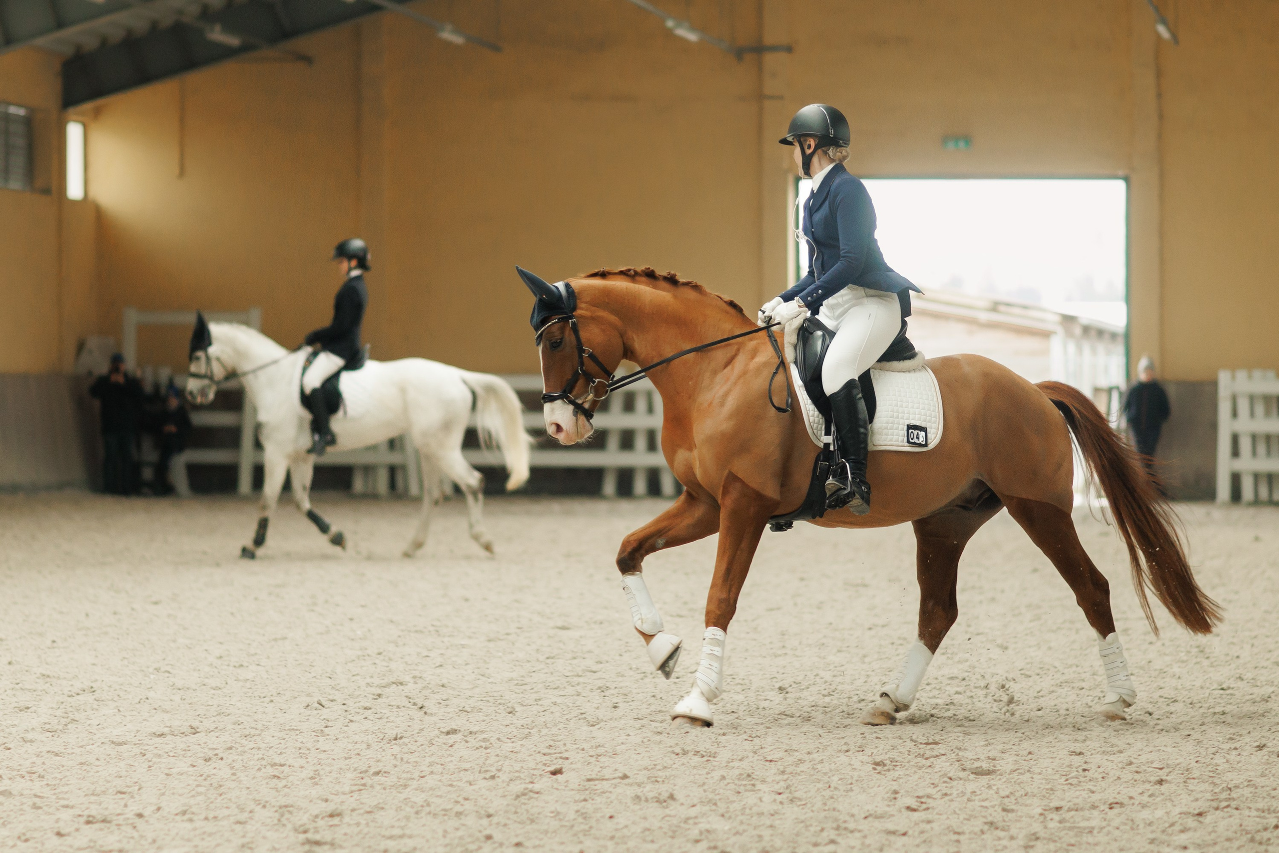 Partynice dressage \ feb'25. Kaja | fotograf we Wrocławiu | ludzie i psy