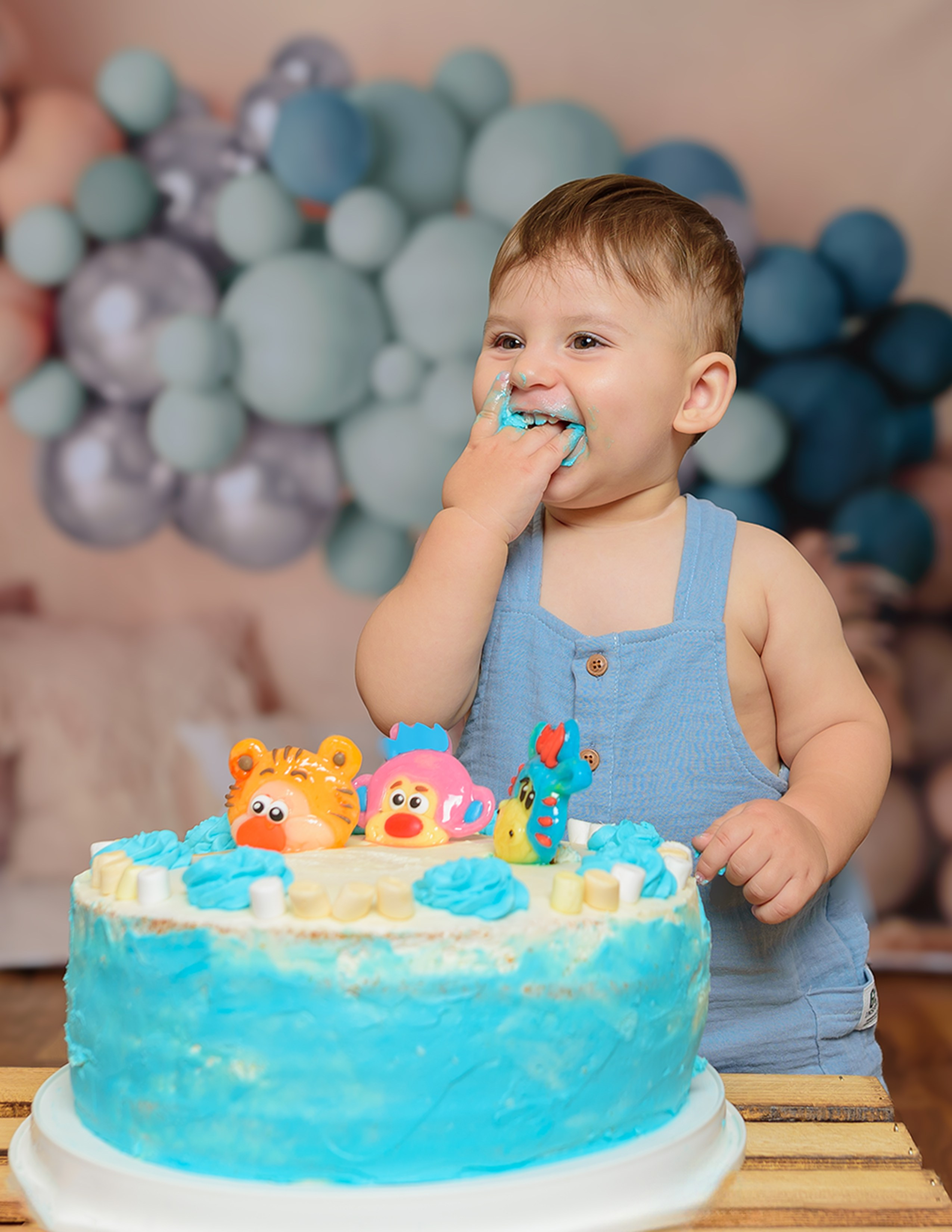 Smash Cake. Klausenburg Photography