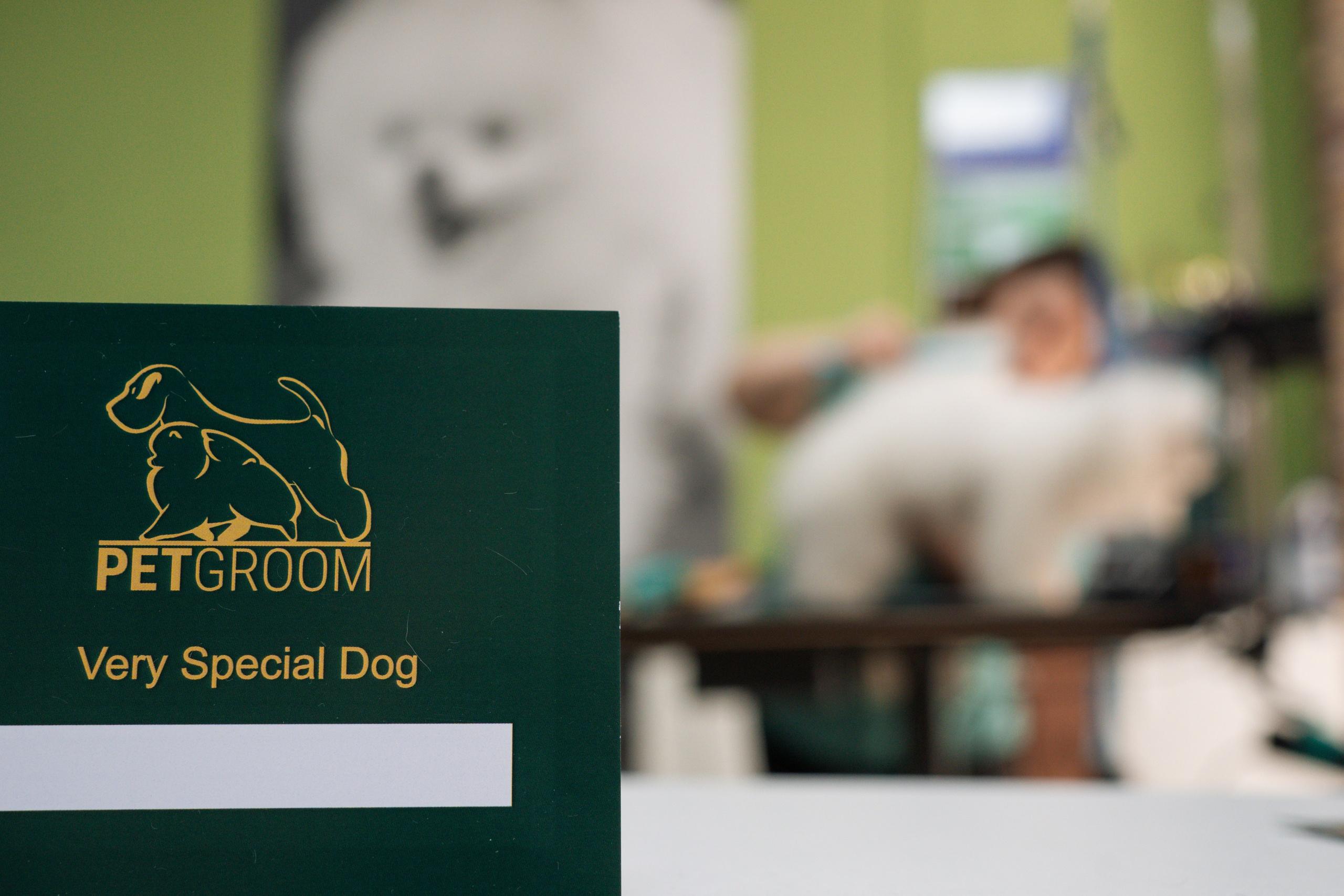 PetGroom Timisoara. Cozac Cristian Photographer