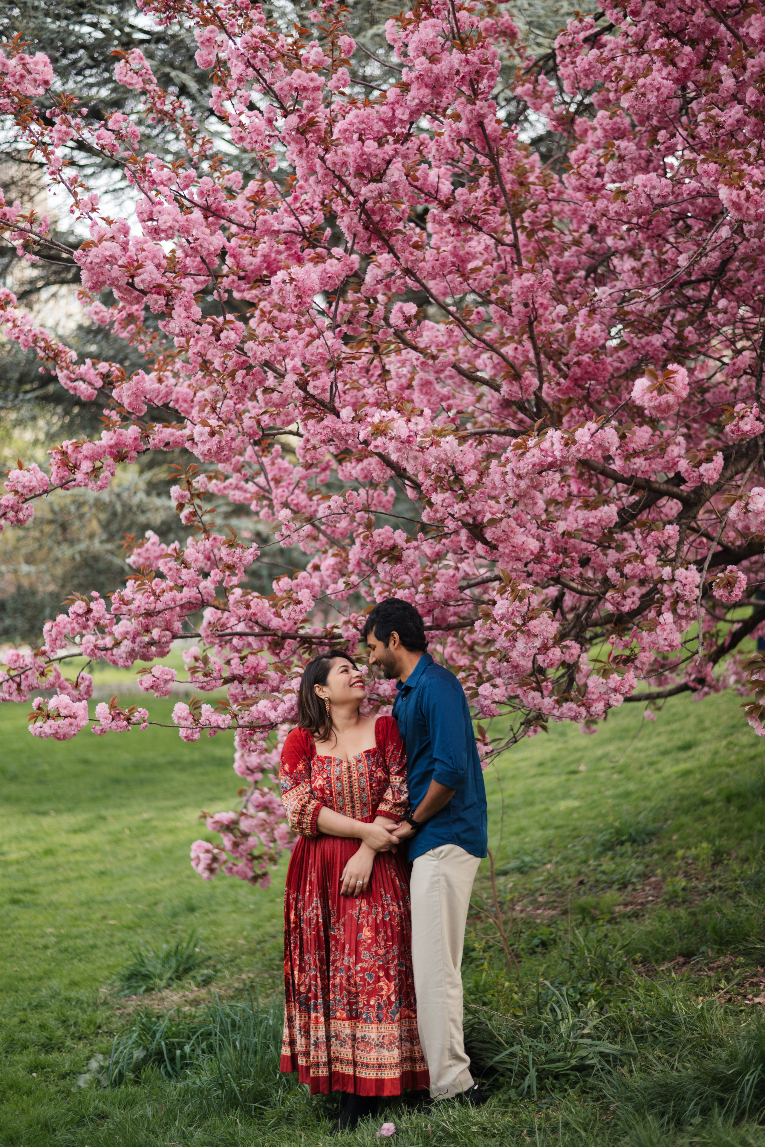 Cherry Blossom. Irina Goncharenko — NYC Photographer